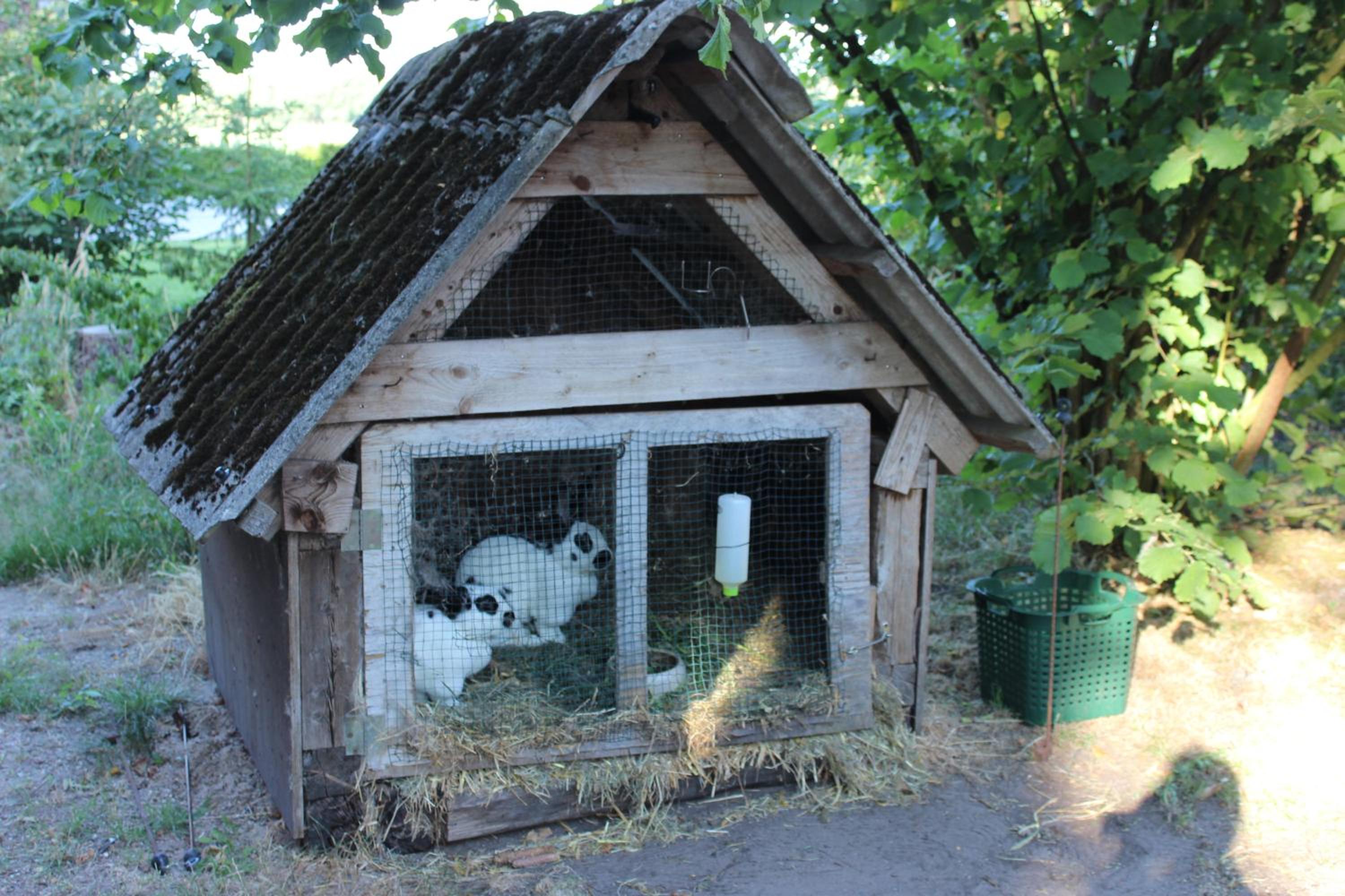 Ferienwohnung Sannhoff en Schneverdingen
