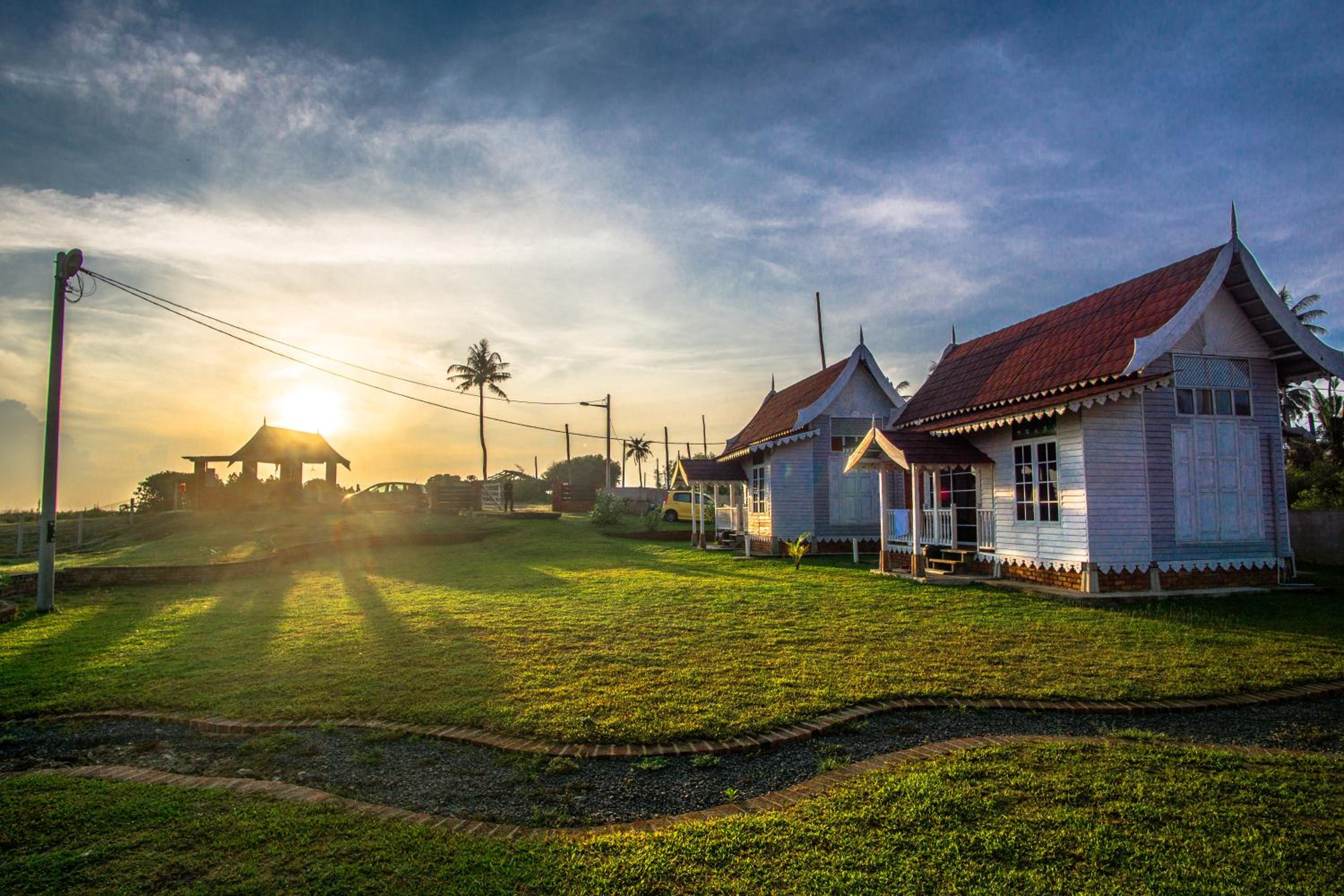 Umbut Bayu photo 8