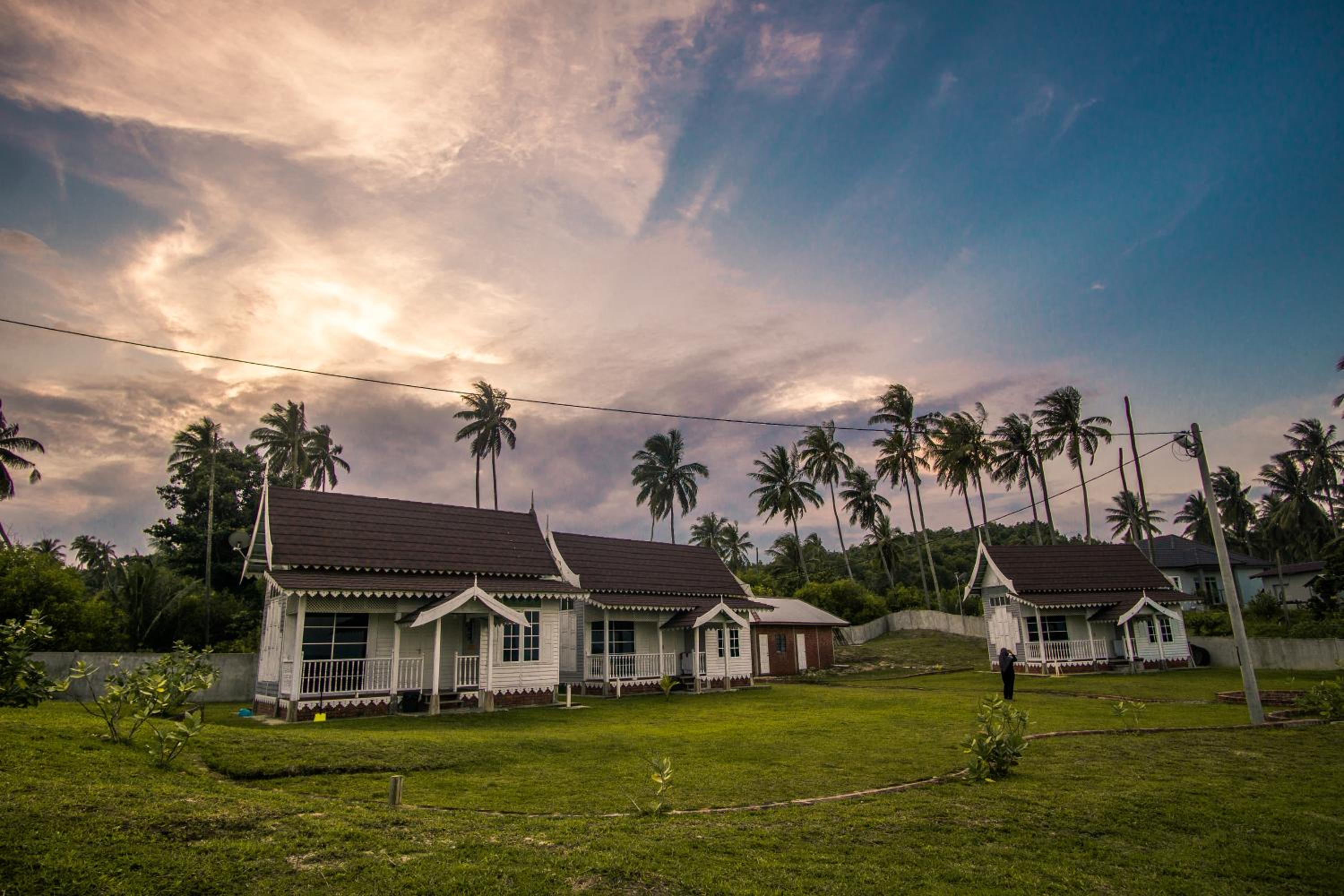 Umbut Bayu photo 7