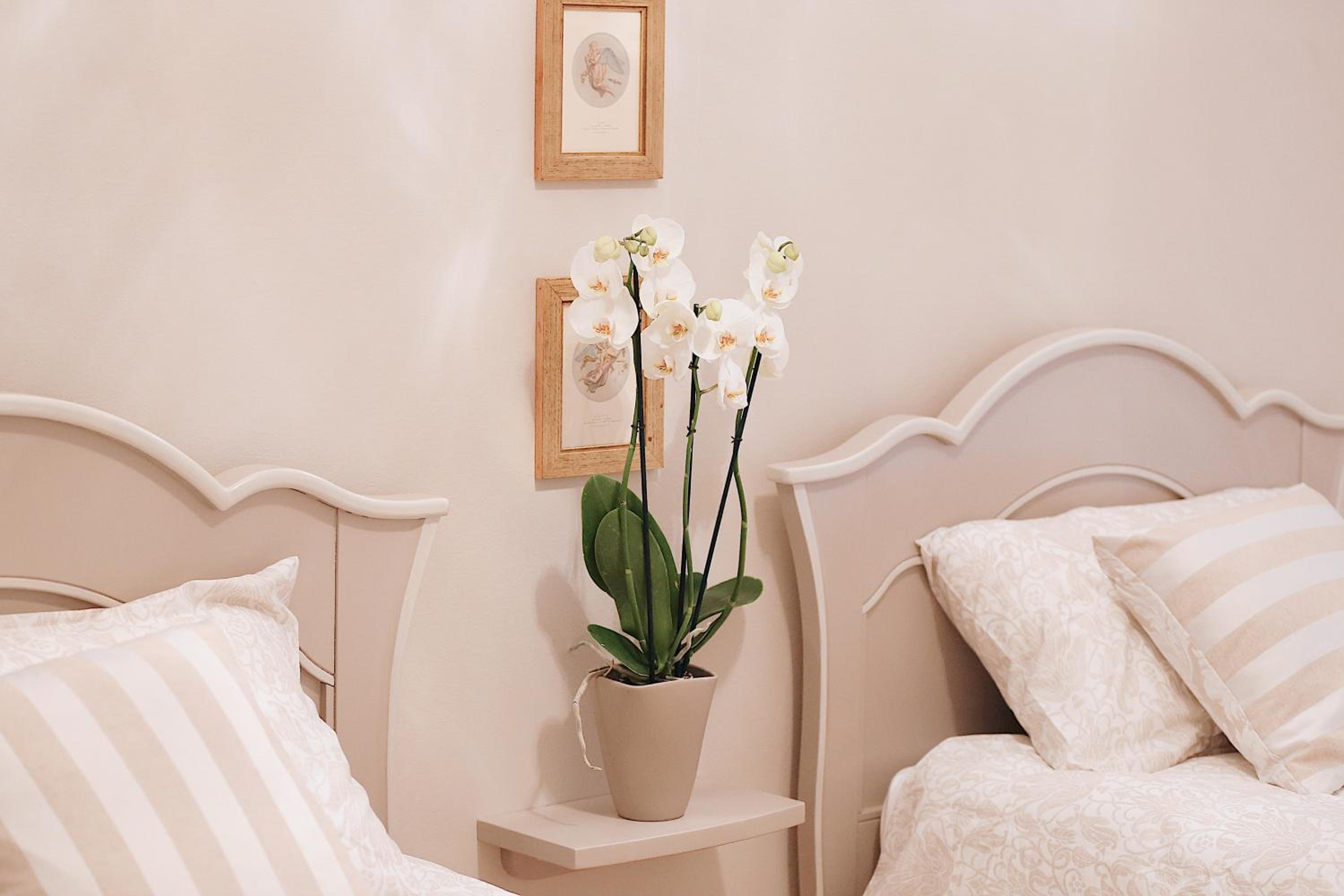 Boutique Apartments Verona photo 2