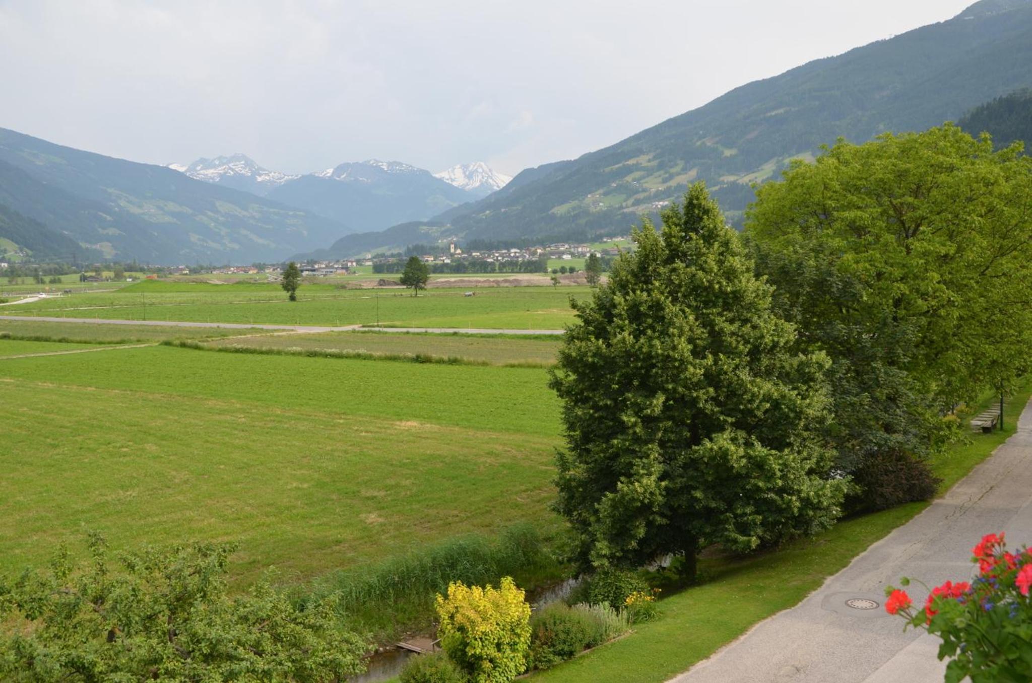 Photo 43