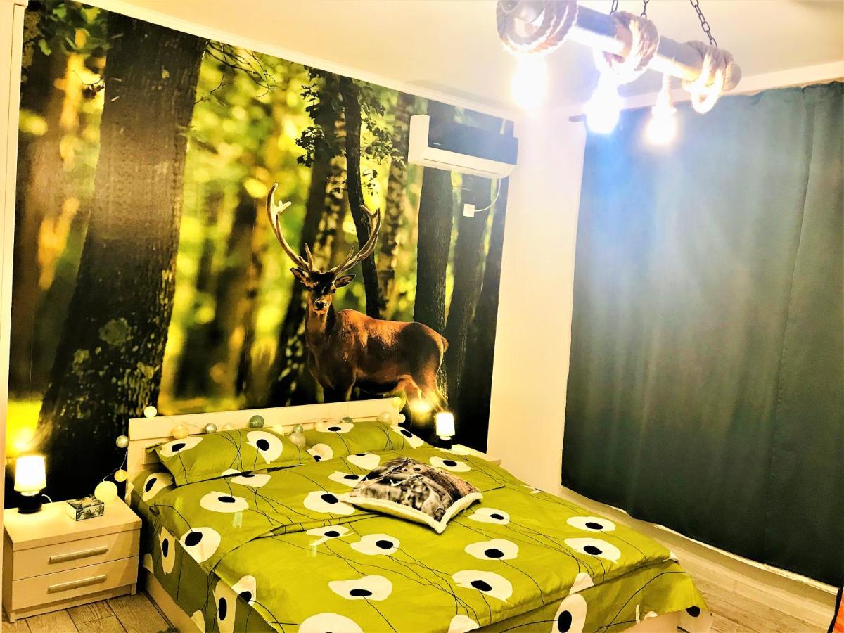 NATURE ESCAPE STUDIO view 4
