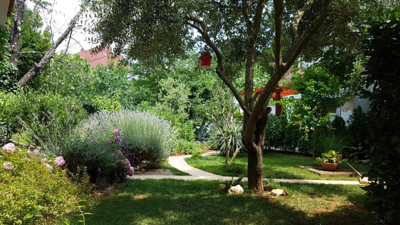 Photo 26