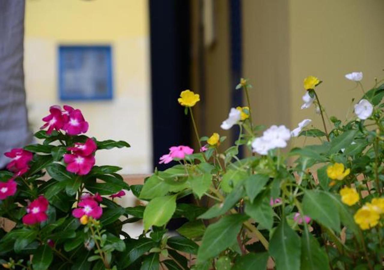 Brasileranza Hostel