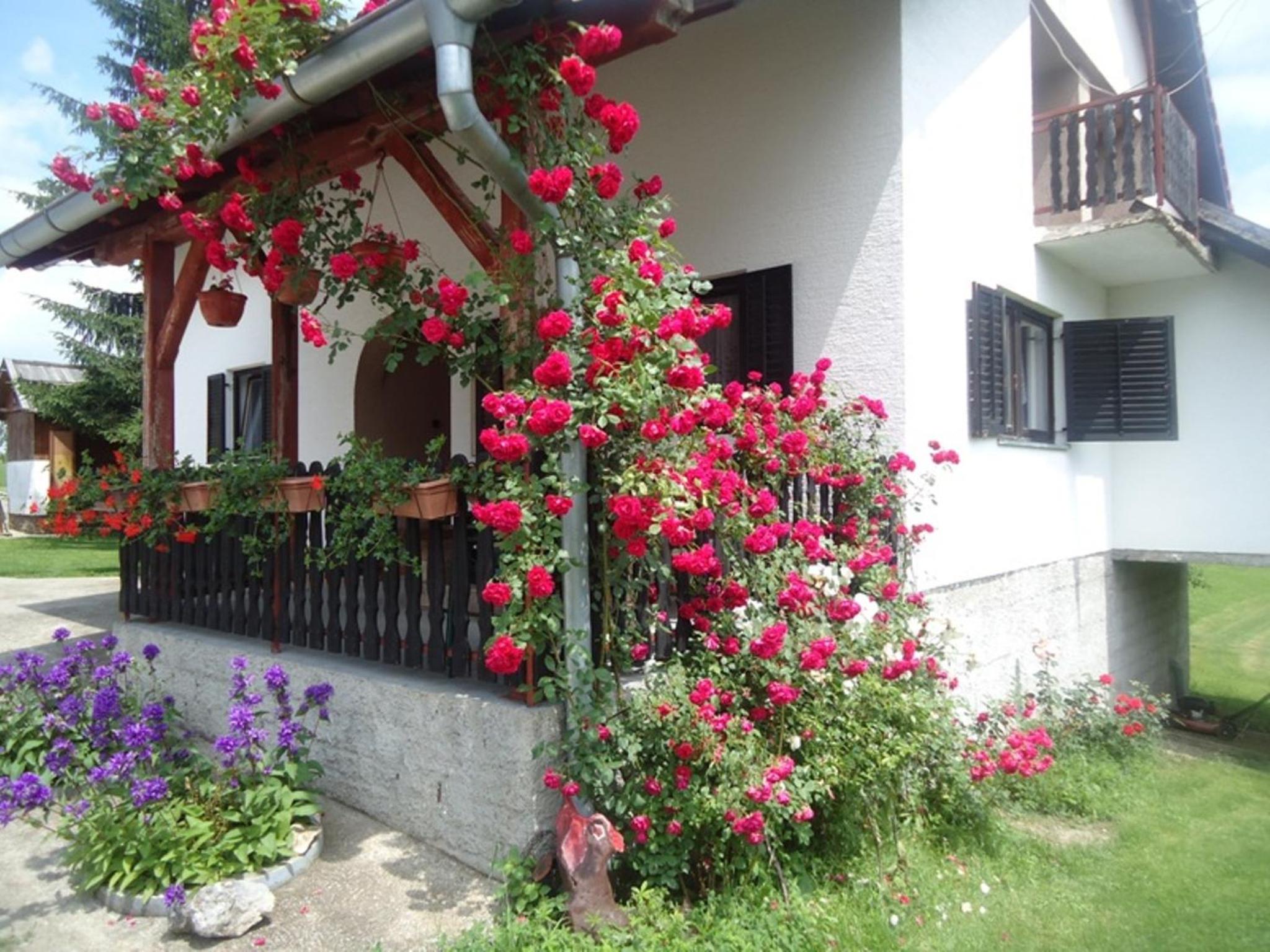Photo 48