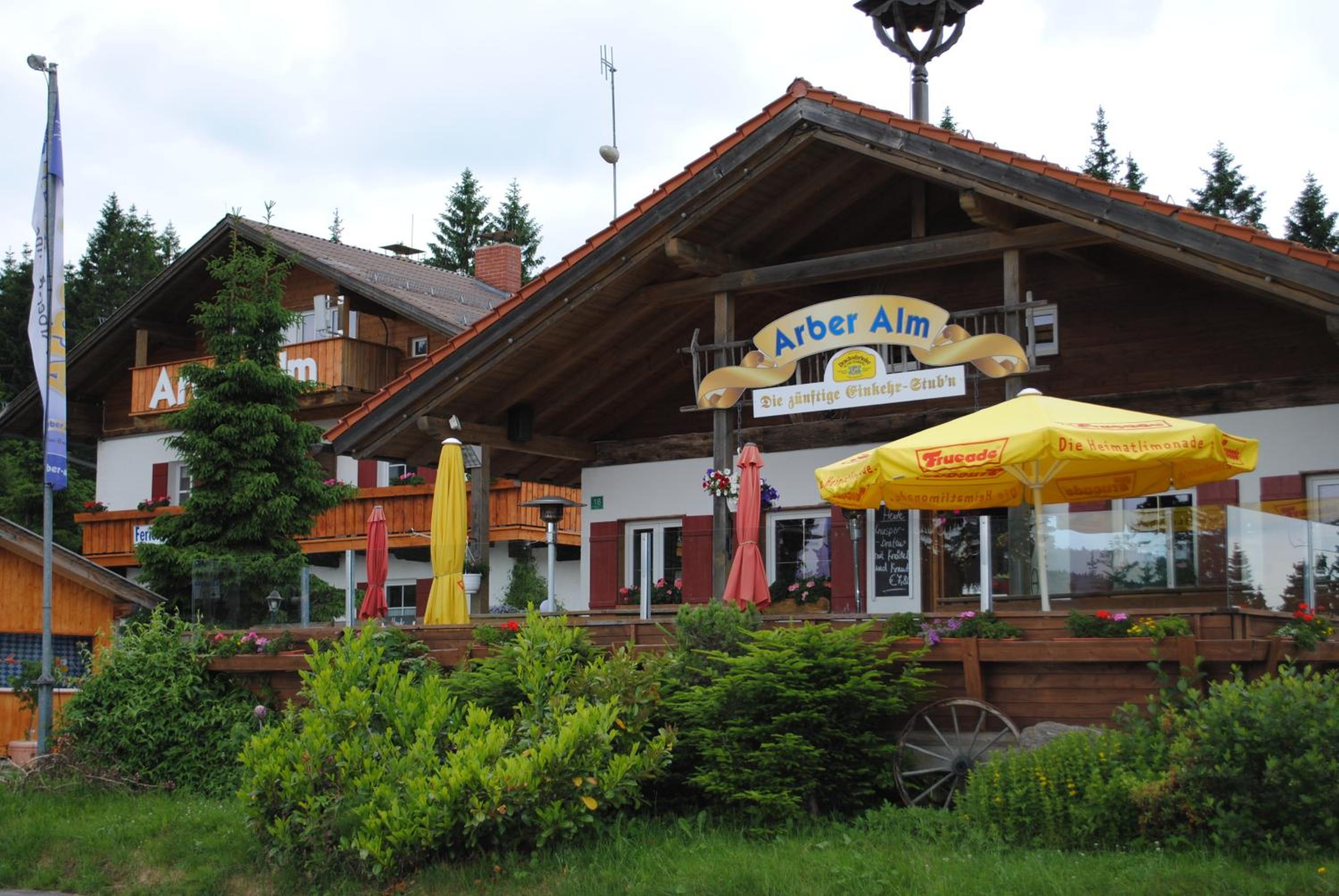 Arber Alm view 4
