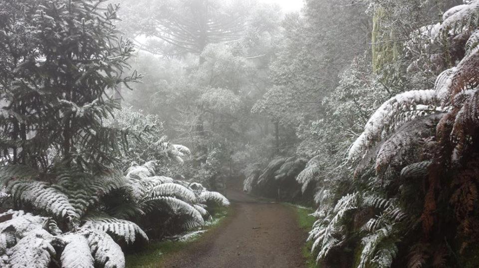 Snow Valley