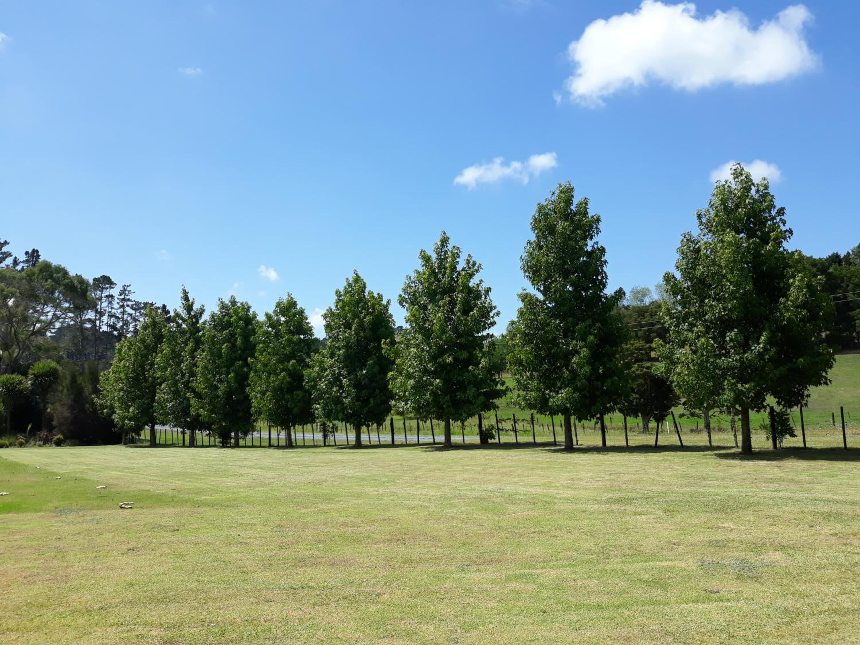 Photo 12