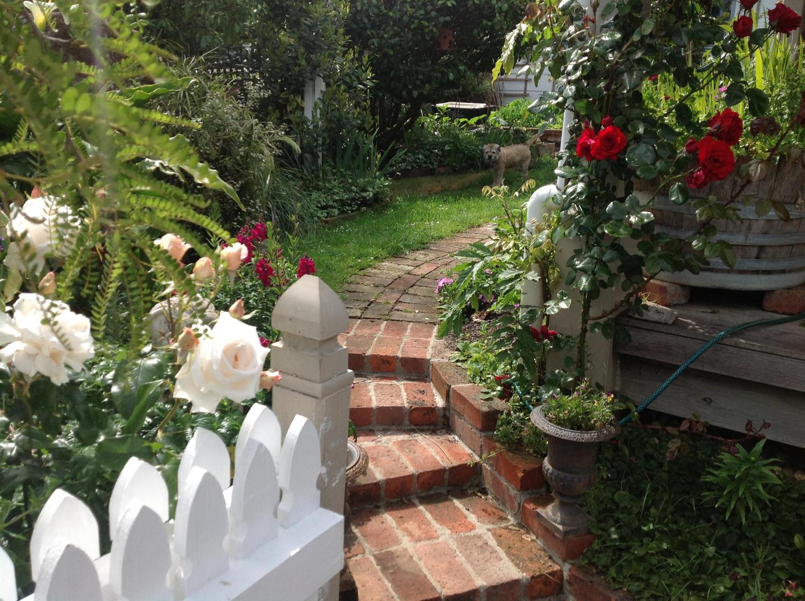 Photo 6