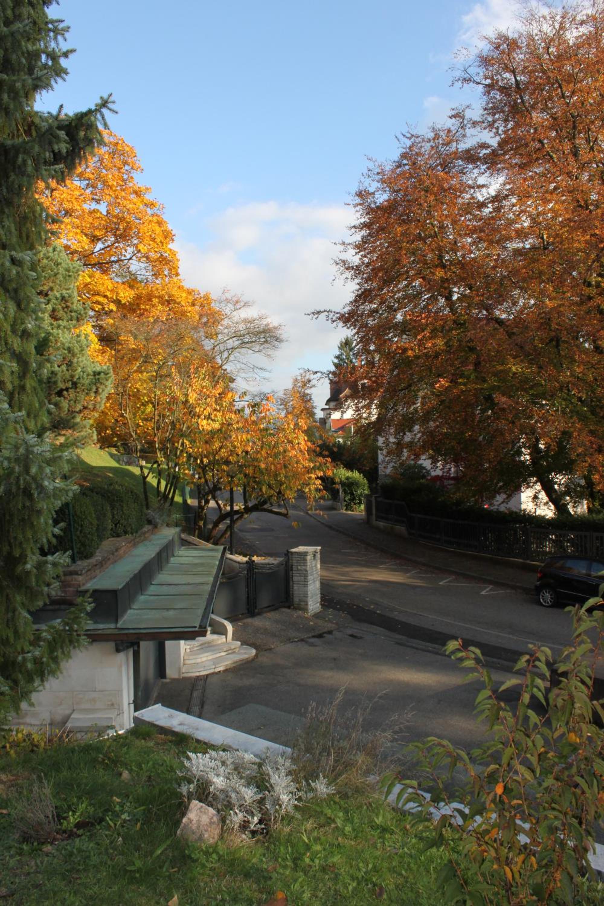 Schönes Appartement mit Gartenblick