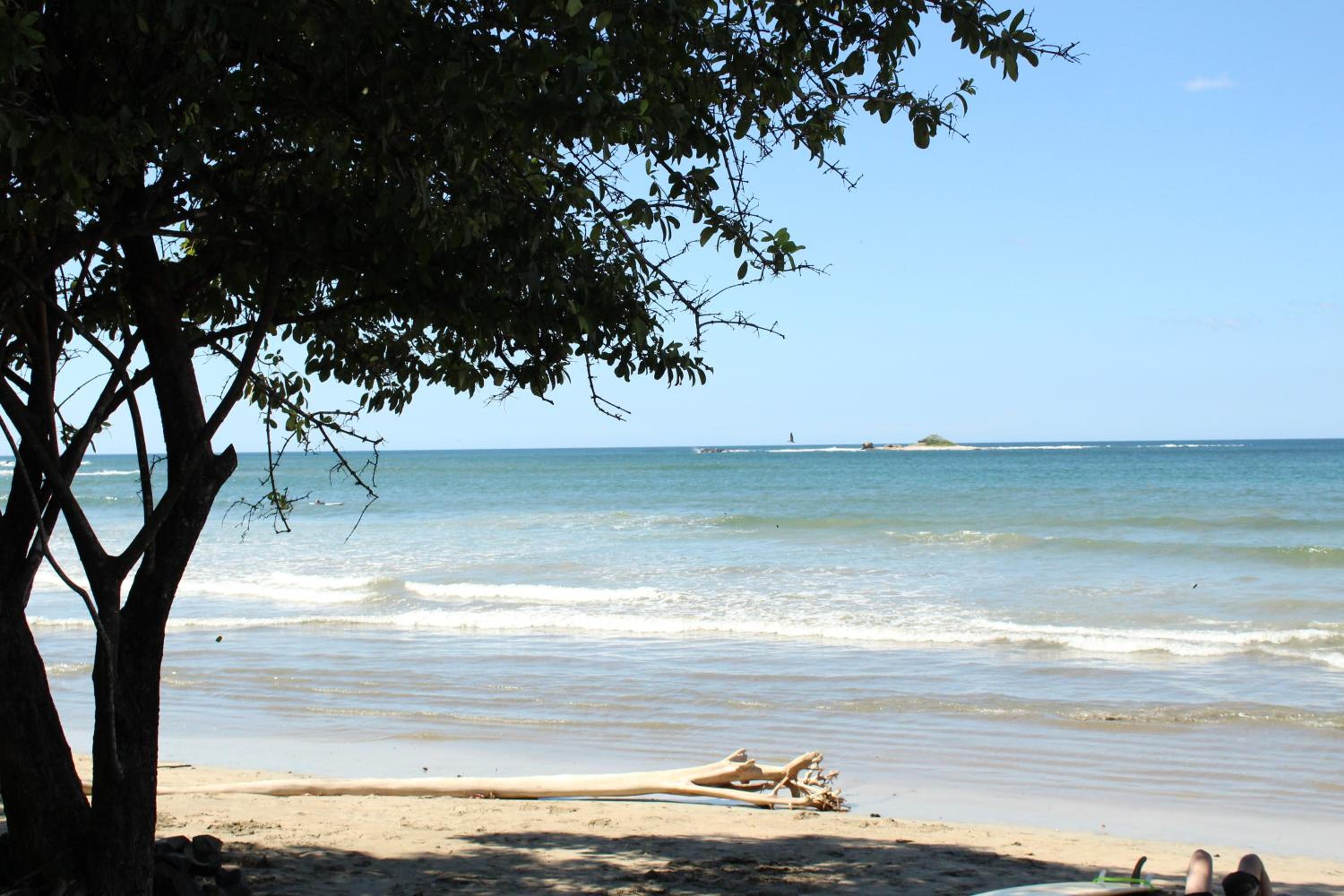 Casa Woodbine Private House on Tamarindo Beach