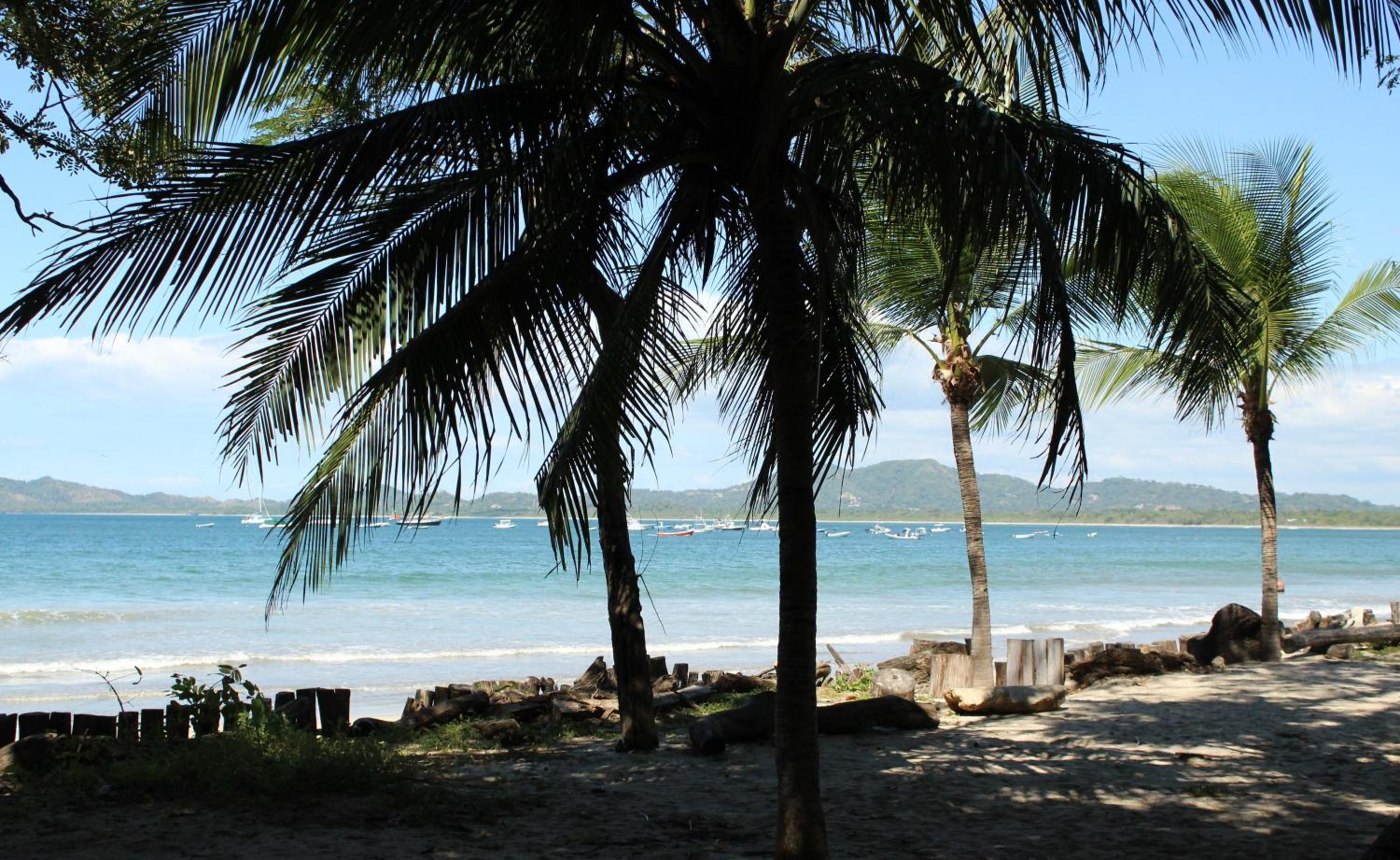 Casa Woodbine Private House on Tamarindo Beach