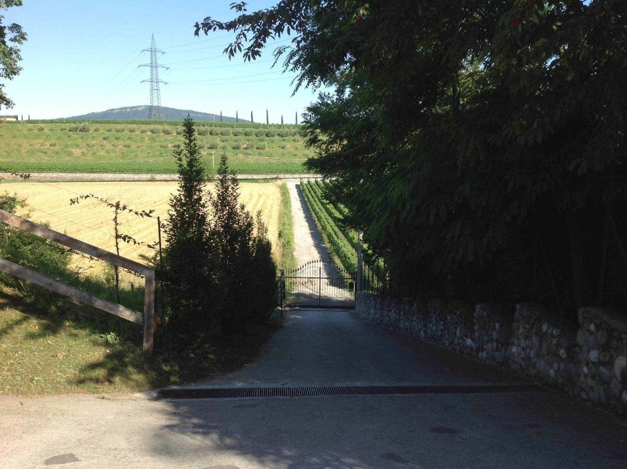 Villa Pasini, photo 17