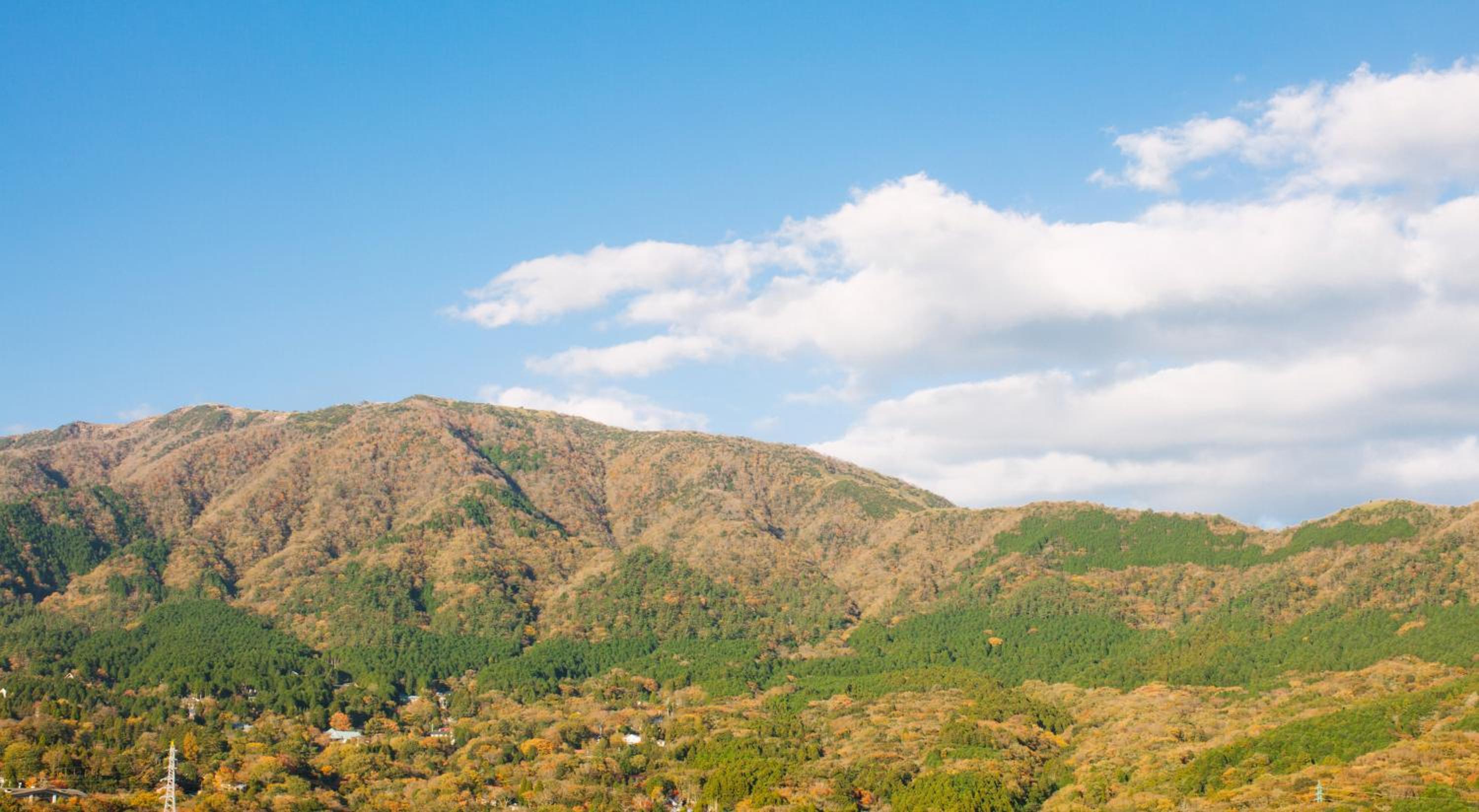 Onsen Guesthouse HAKONE TENT