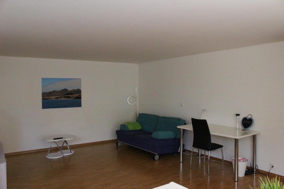A Casa Fina- a modern room close to Basel