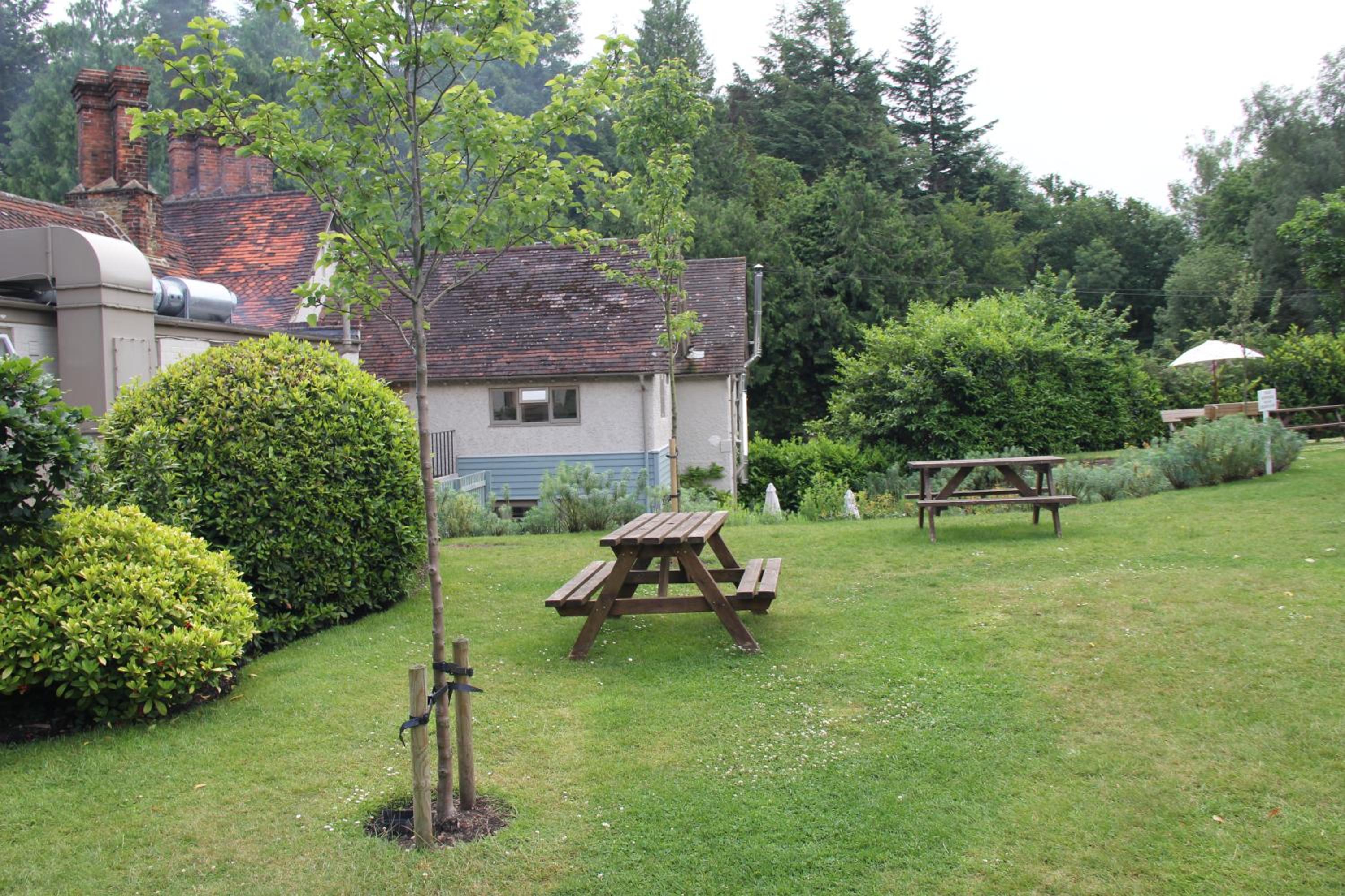 Farnham Vacations - Bel And The Dragon-Churt - Property Image 55