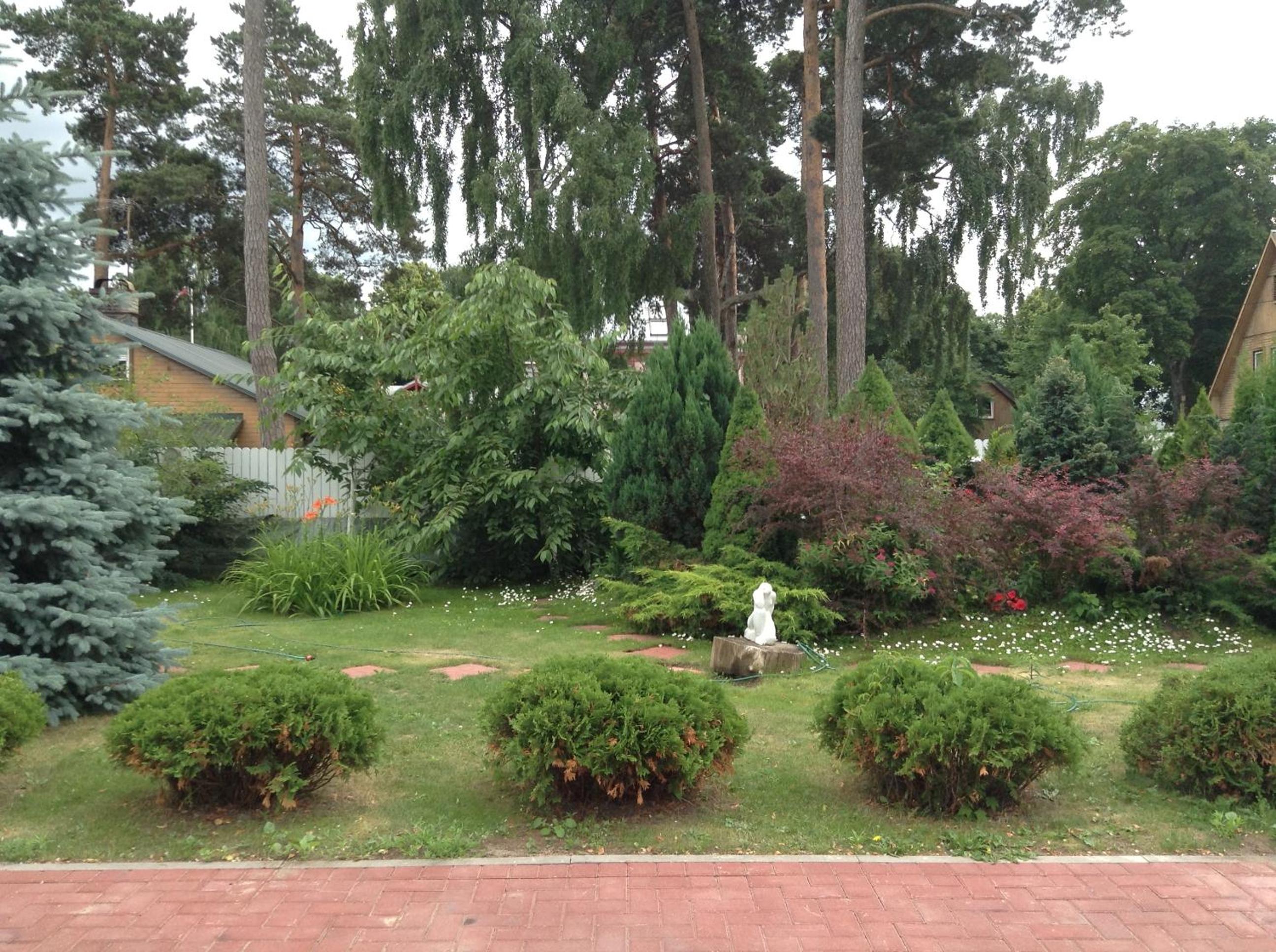 Photo 46