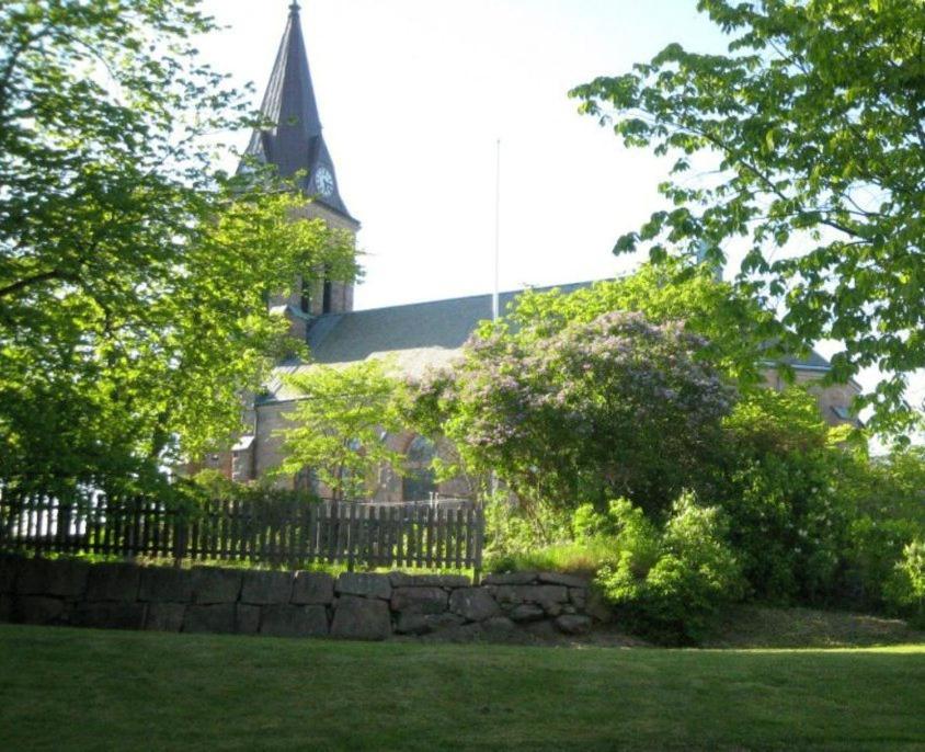Photo 8