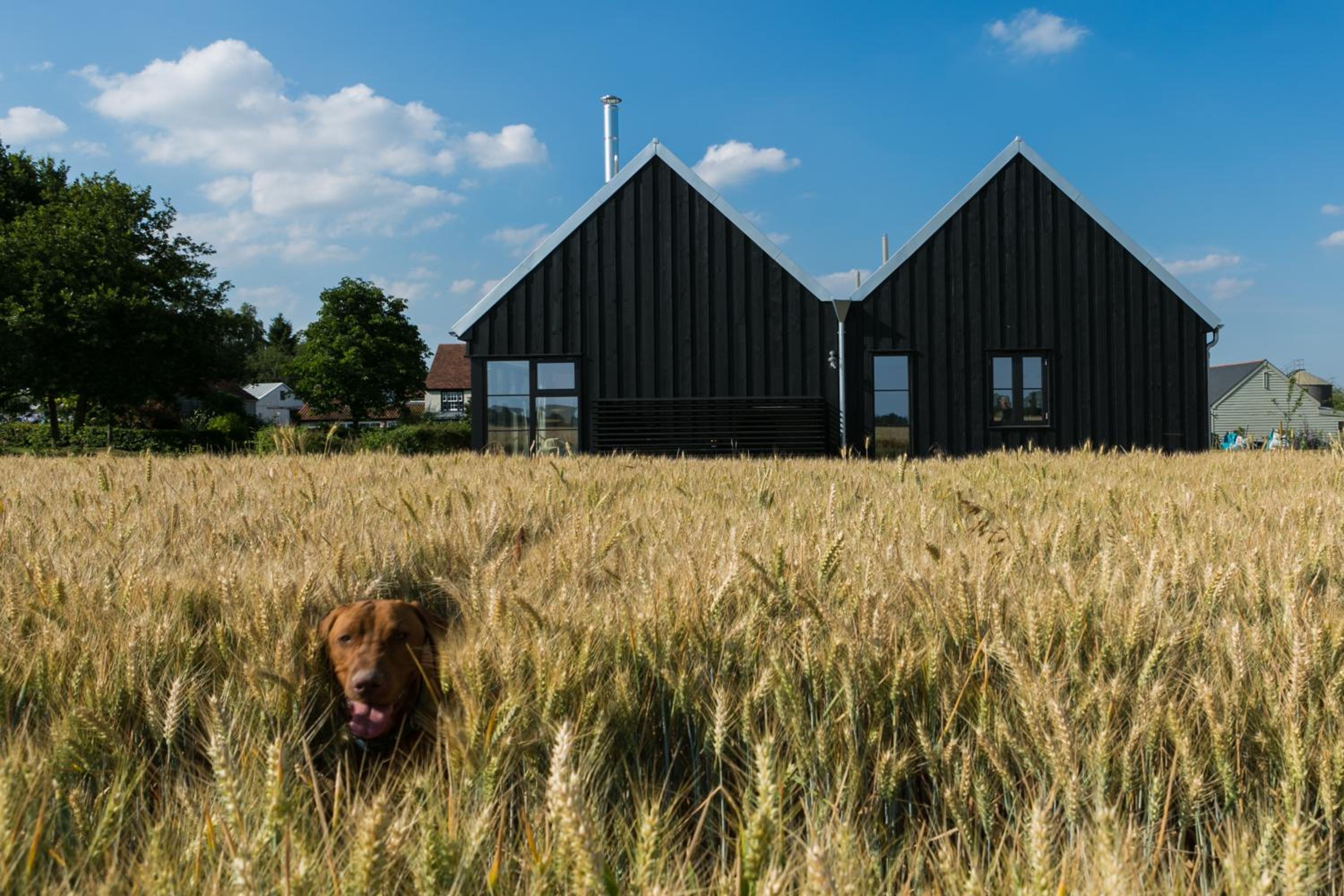 The Fieldbarns at Bullocks Farm view 5