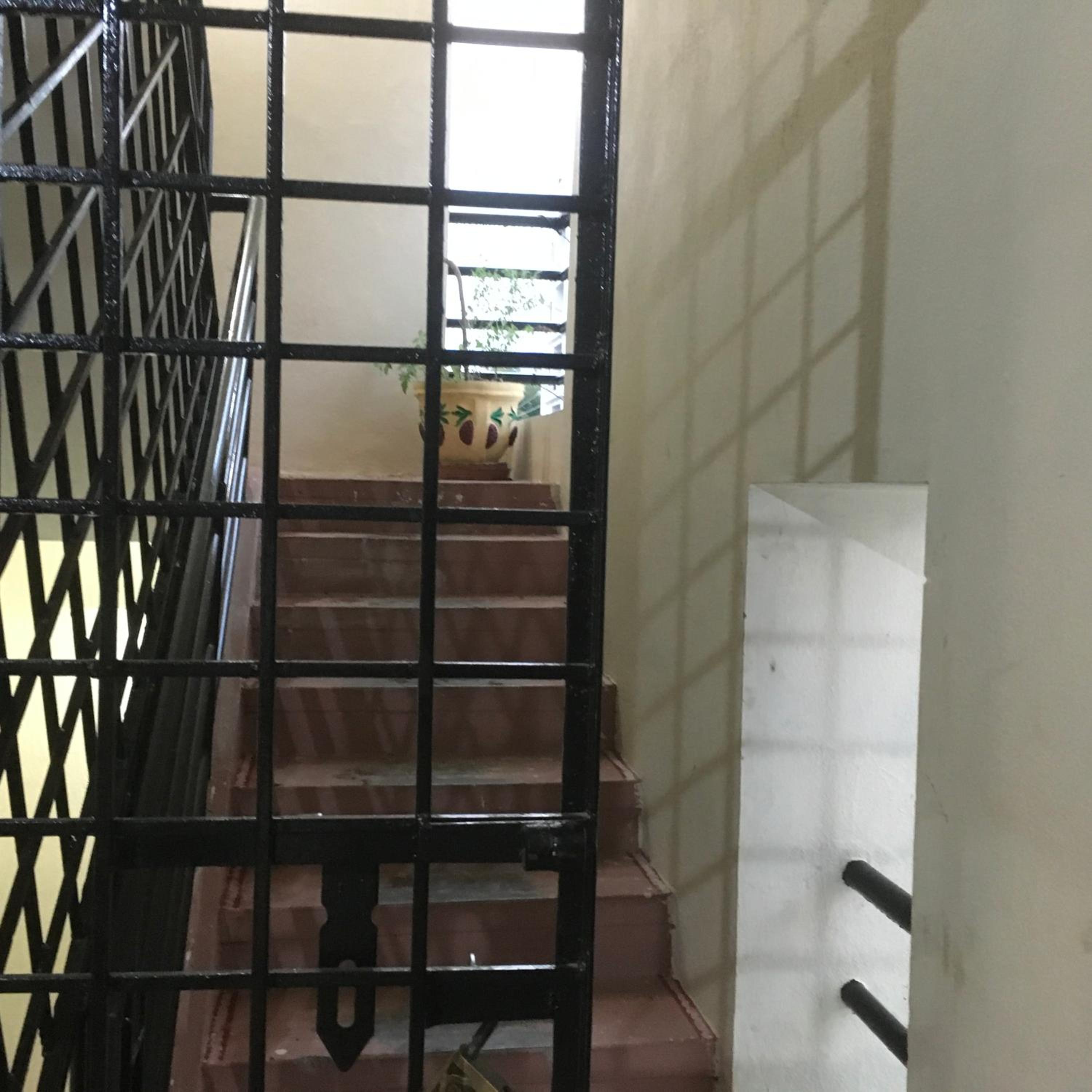 Photo 45
