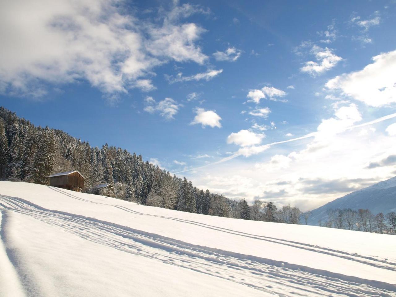 Holiday Home Zillertal - Haus Gigl