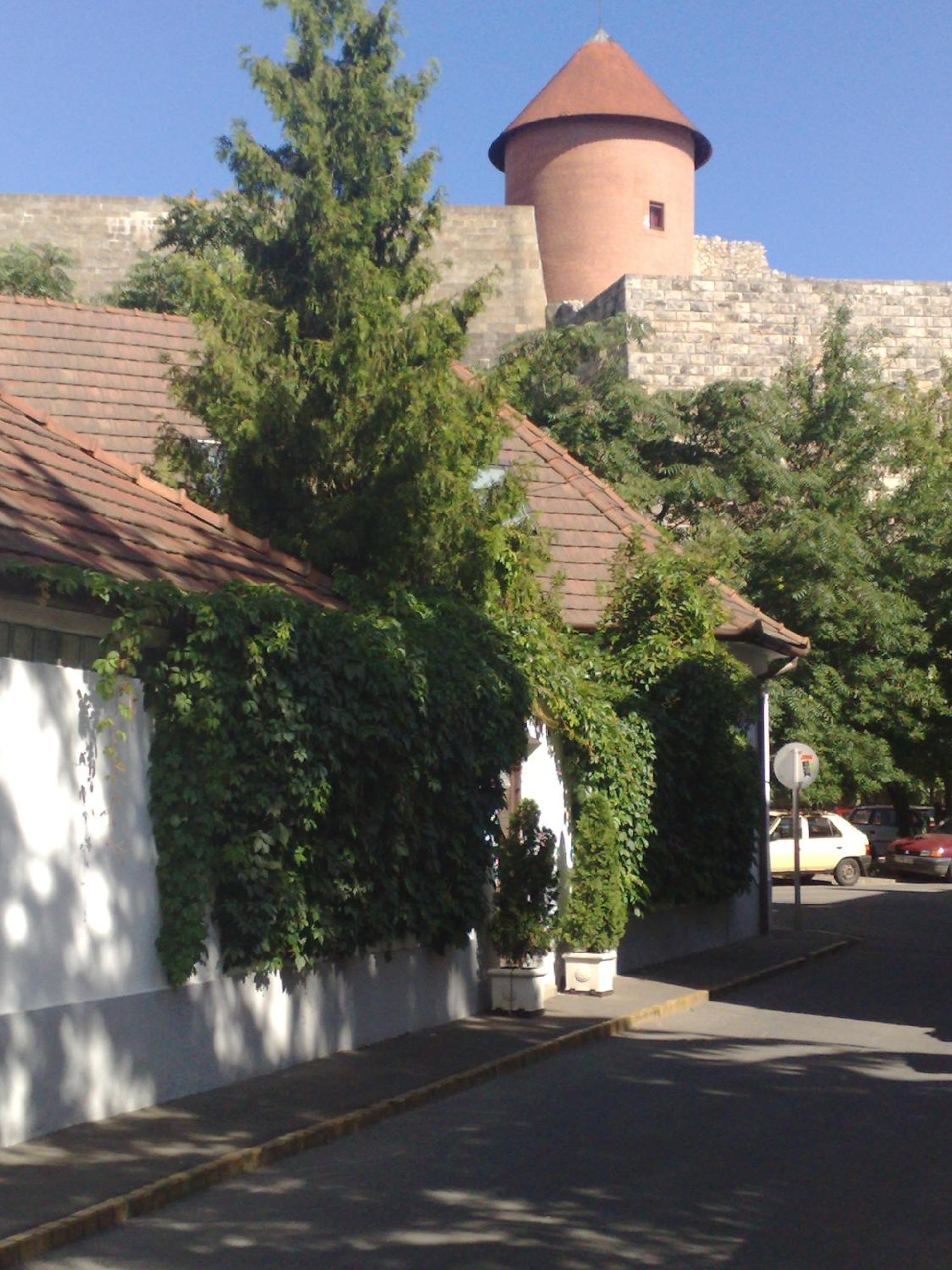 Photo 18