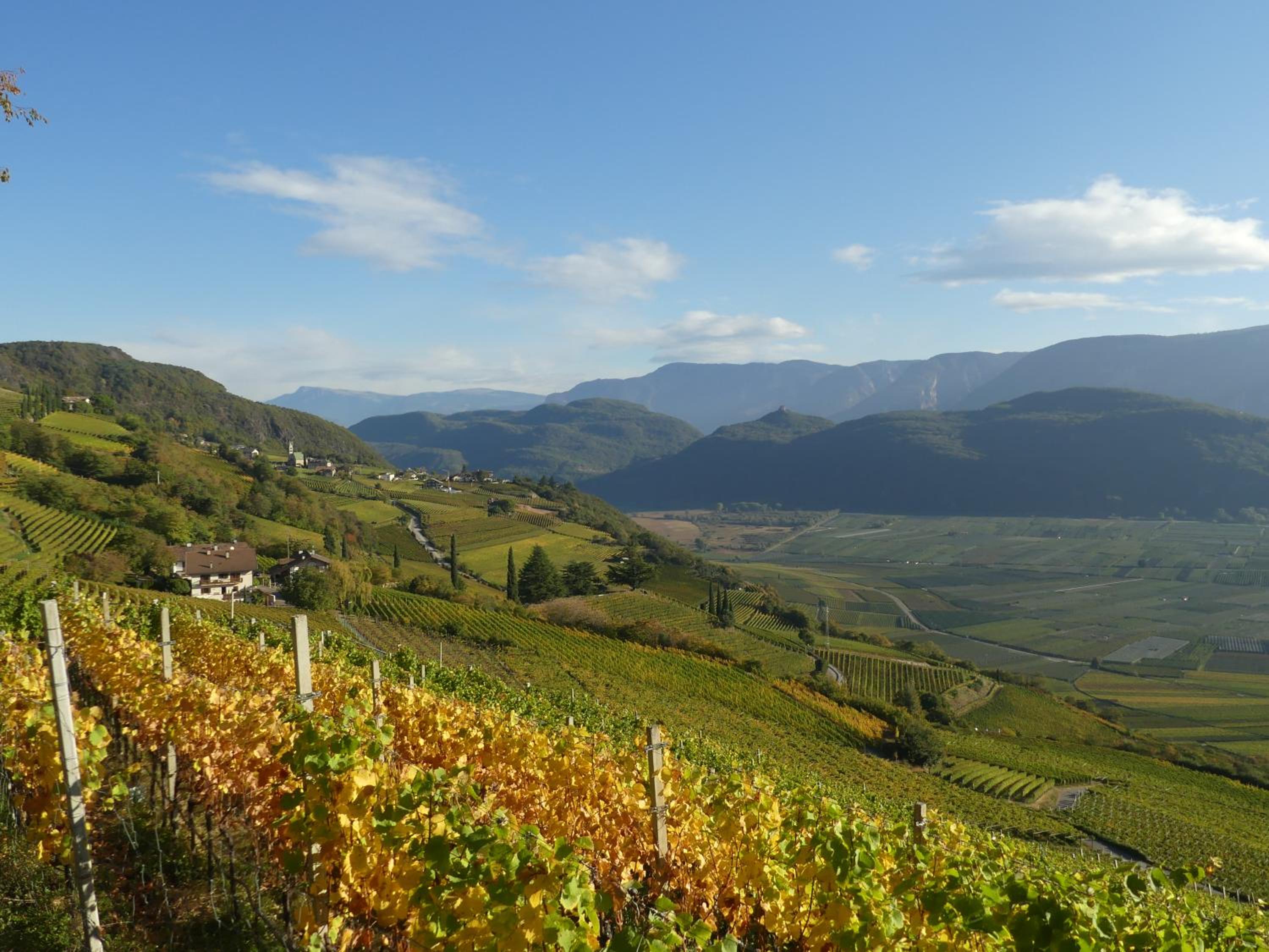 Sonnenhof Tramin - Adults Only