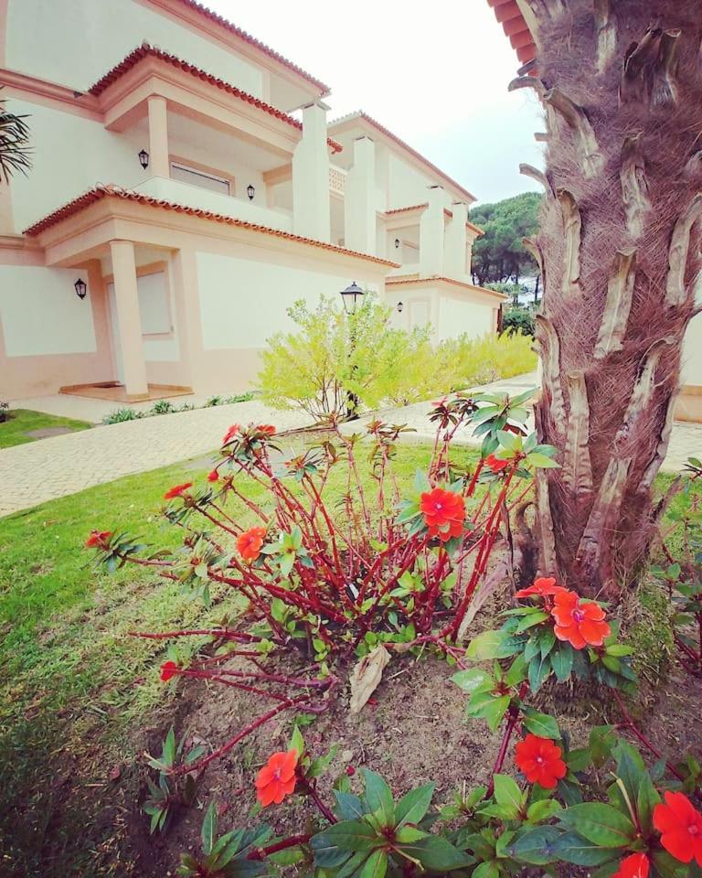 Hotel Good vibes - Image 1