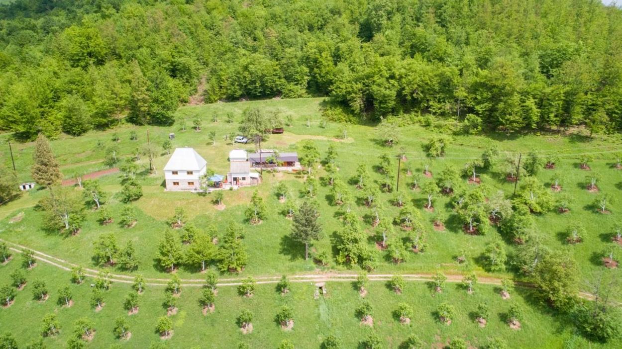 Kljajevica Orchard view 3