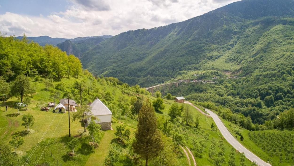 Kljajevica Orchard view 4