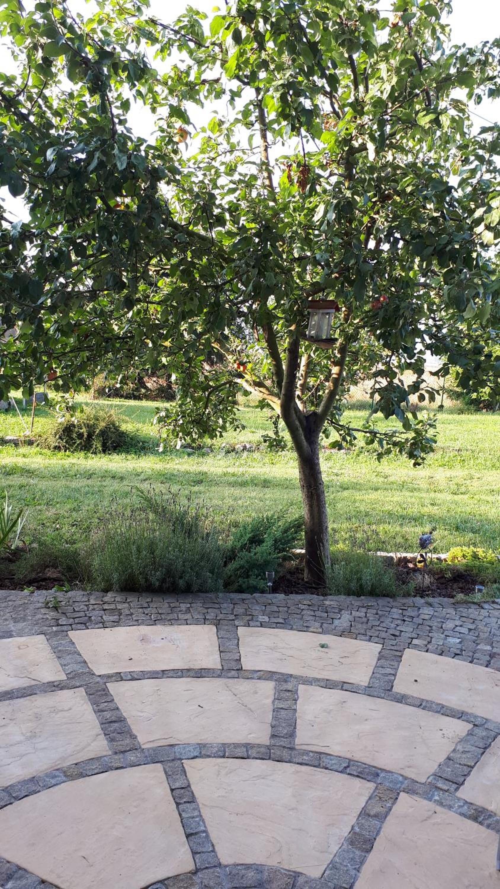 Agroturystyka "JAGAP" OAZA SPOKOJU view 4