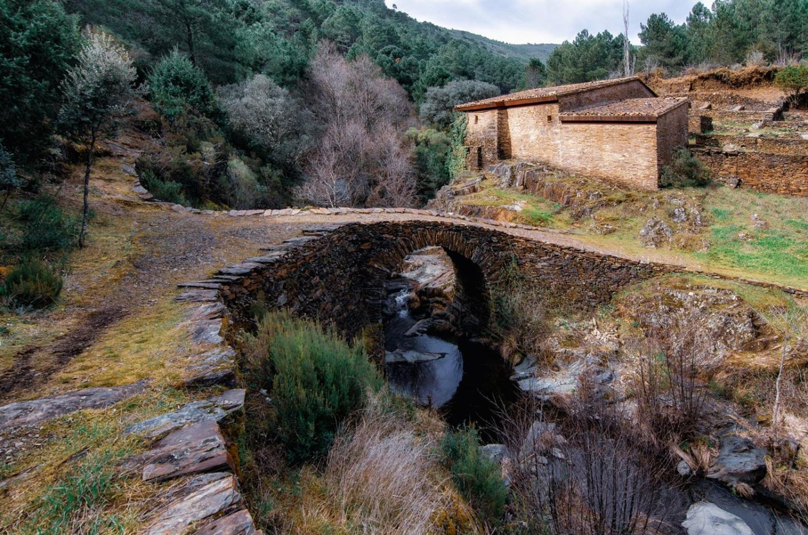 Casas Rurales Prunus Avium