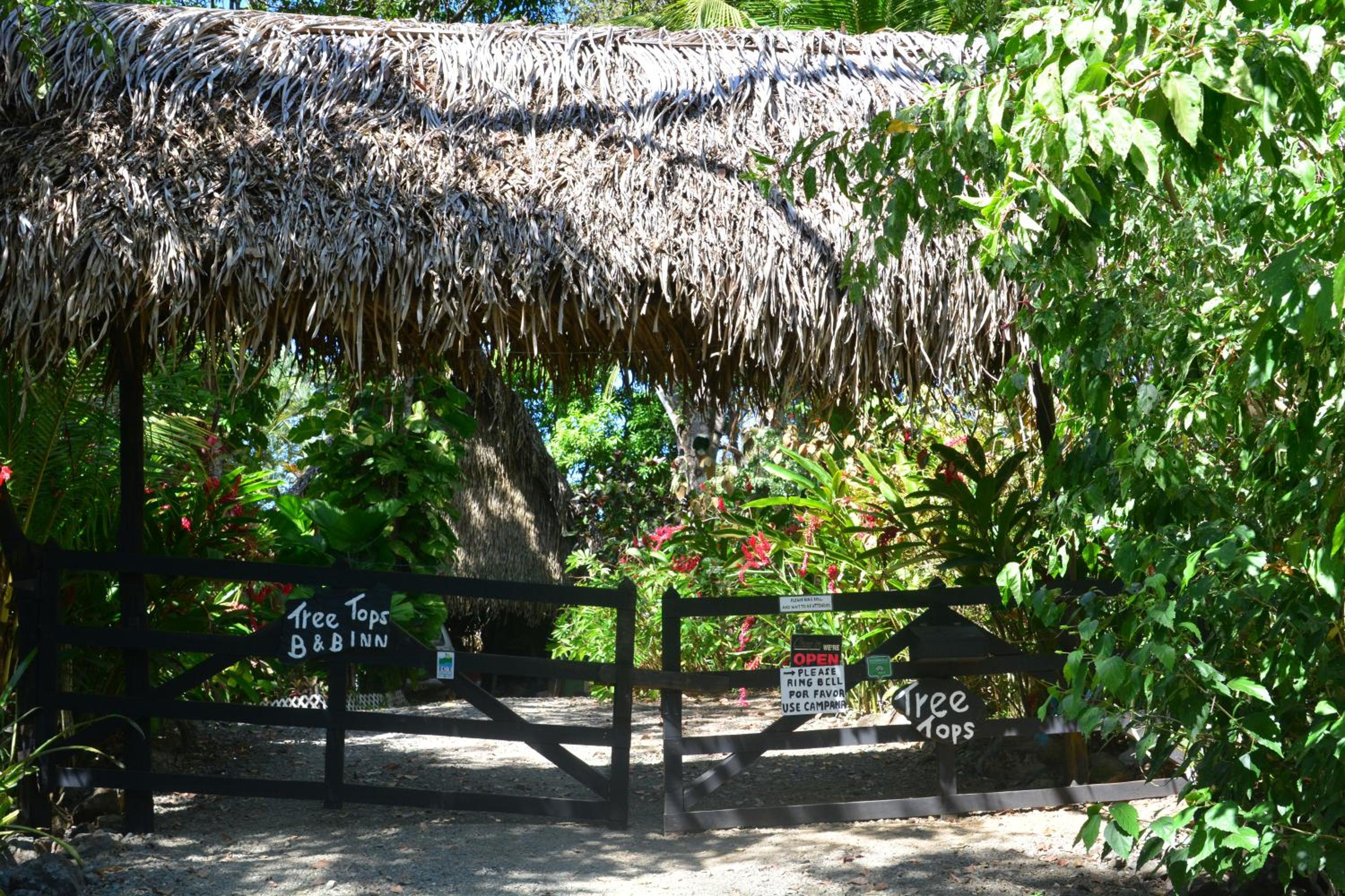 TreeTops Inn