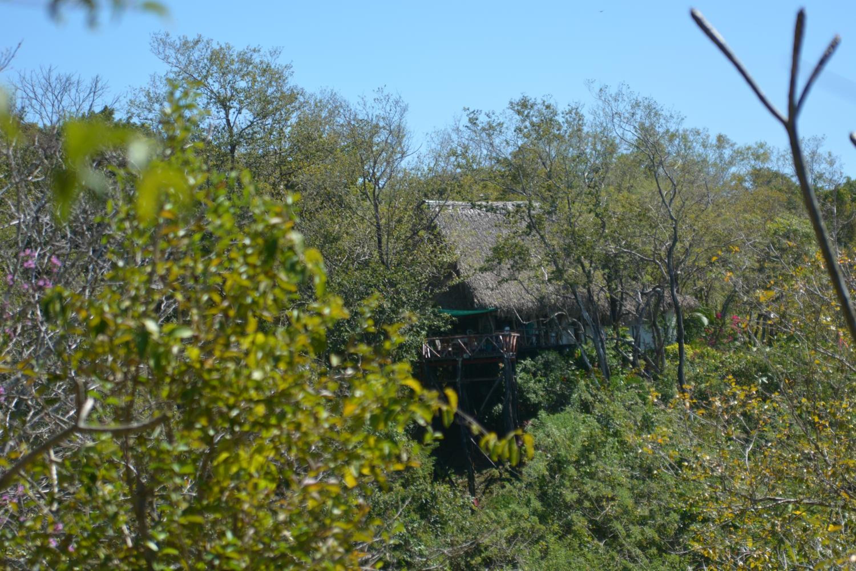 TreeTops Inn