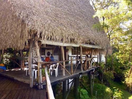 TreeTops Inn