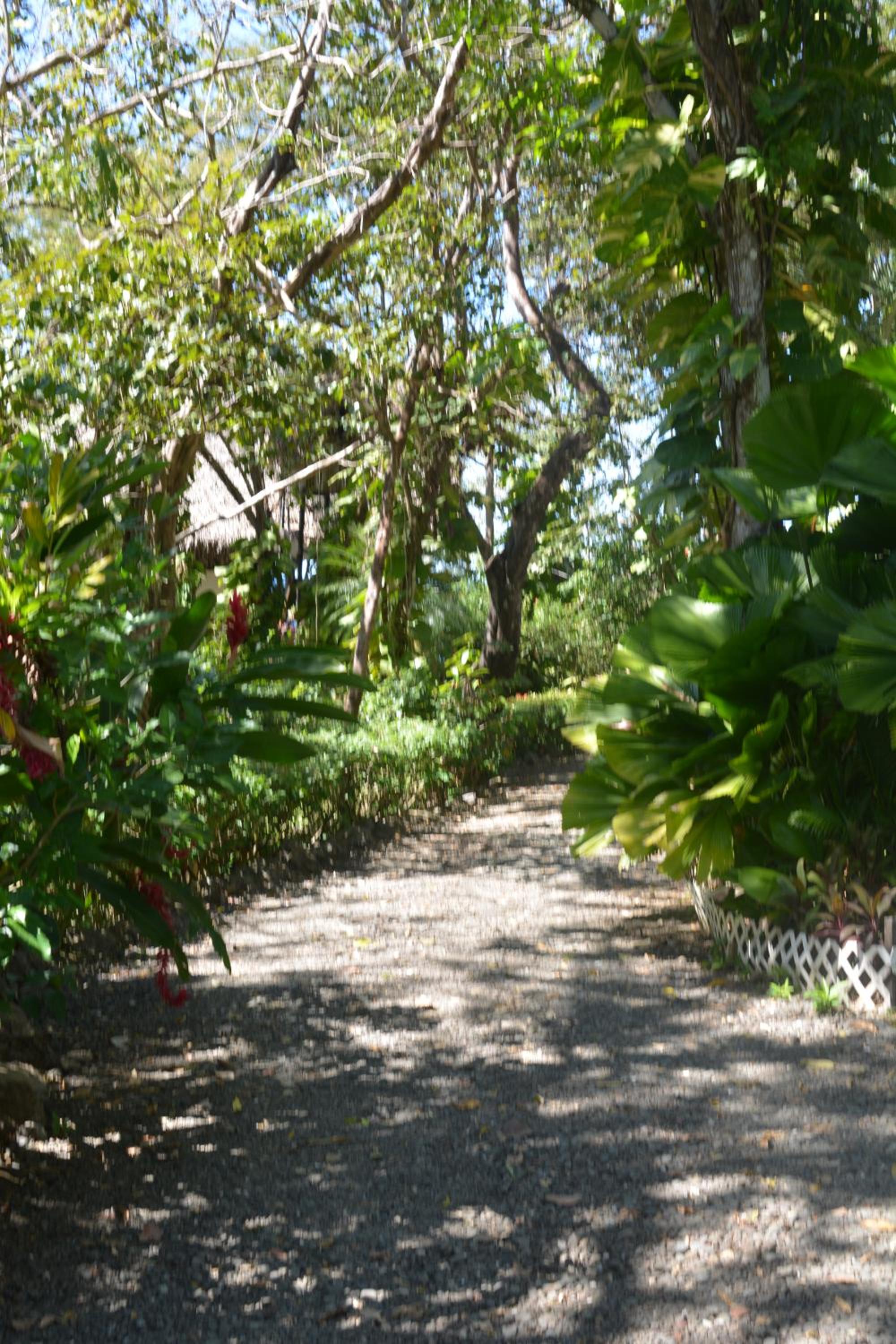 TreeTops Inn