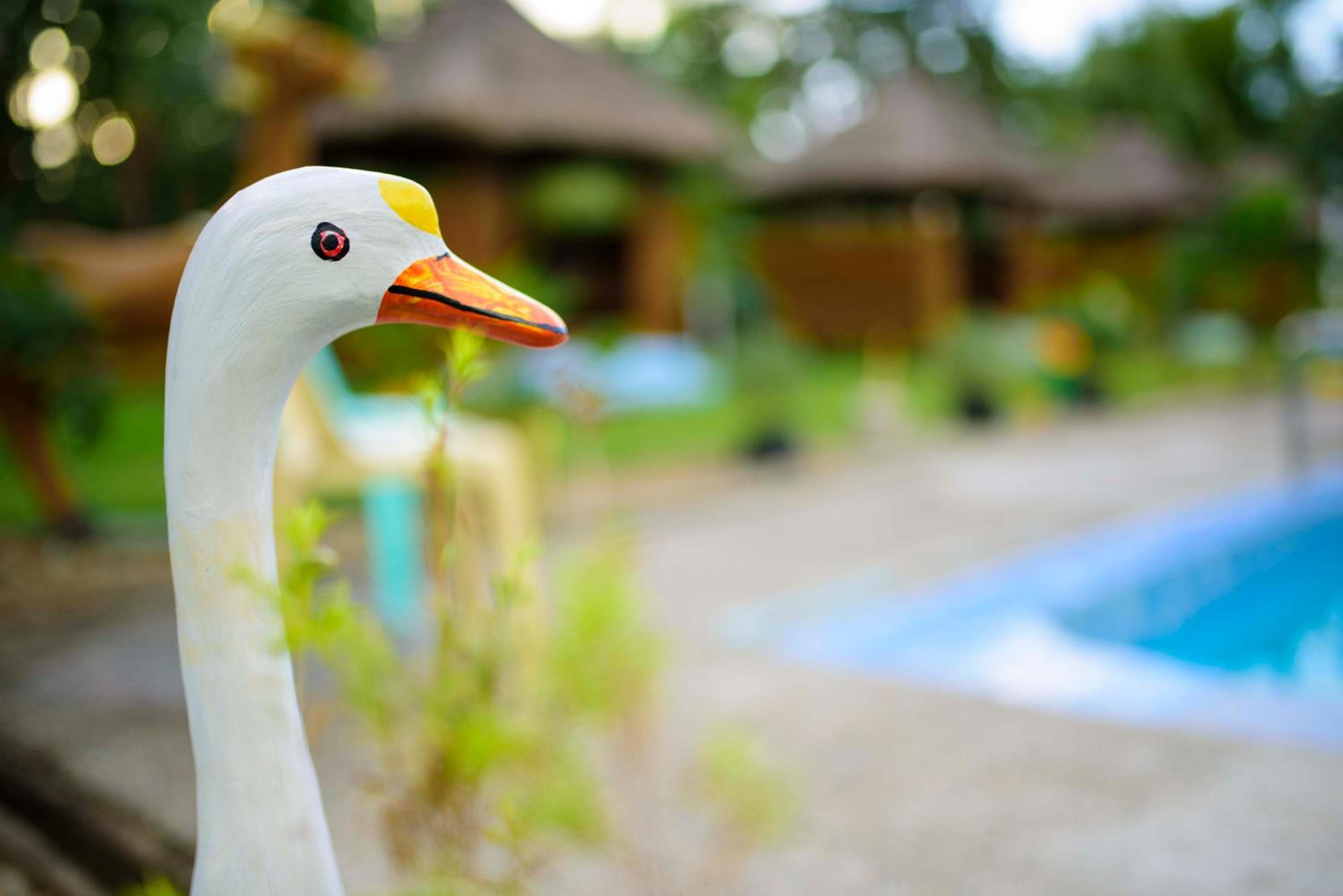 Freedom Eco Adventure Park powered by Cocotel