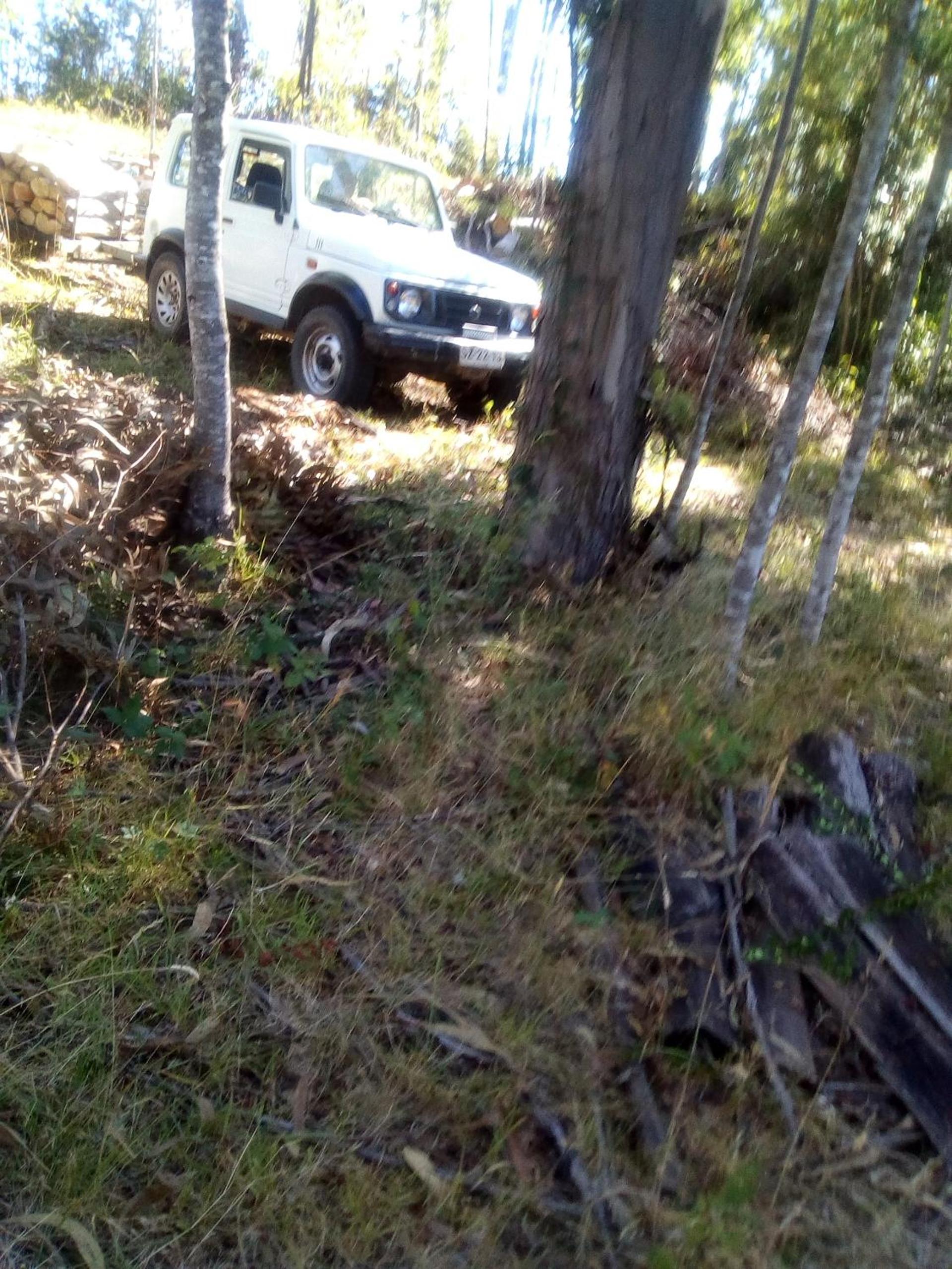 Los Encinos de Chancoyan