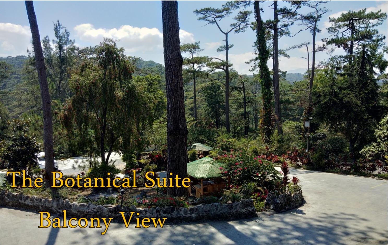 Log Cabin Hotel - Baguio
