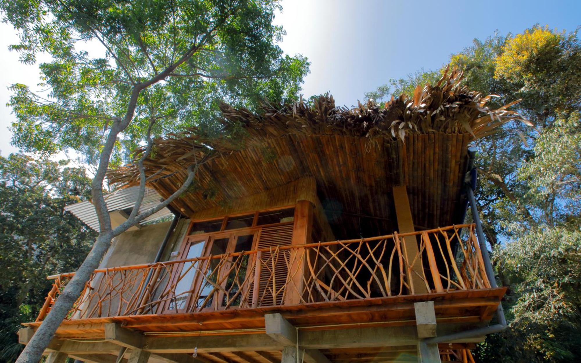 The Winsome & Tree House view 2