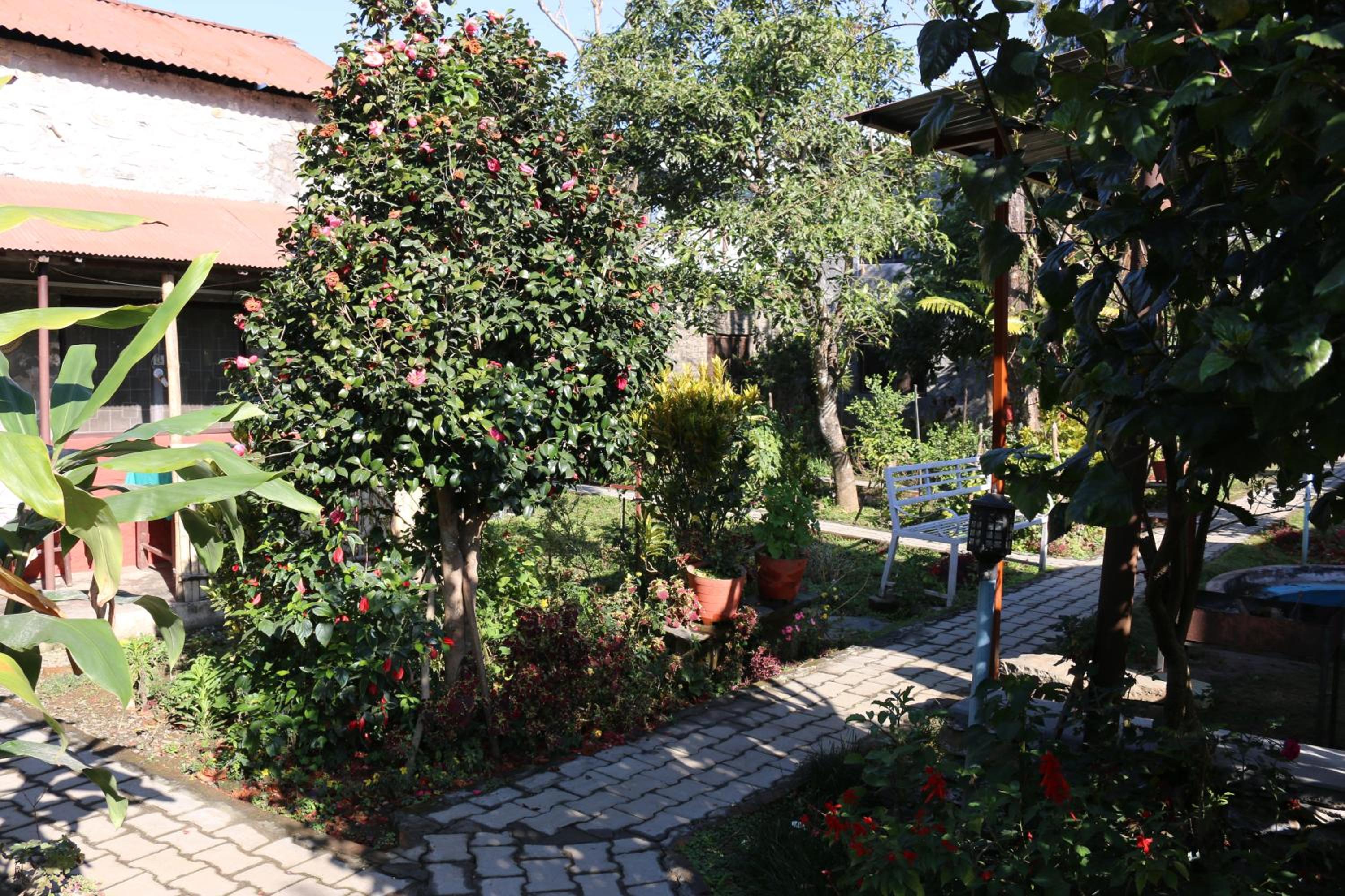 Photo 23