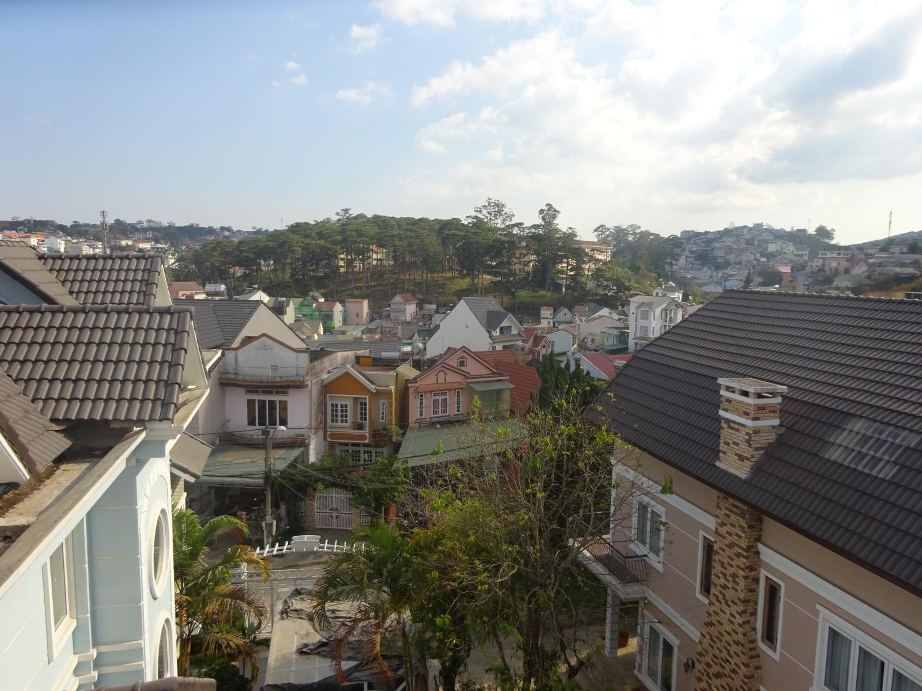 Photo 41