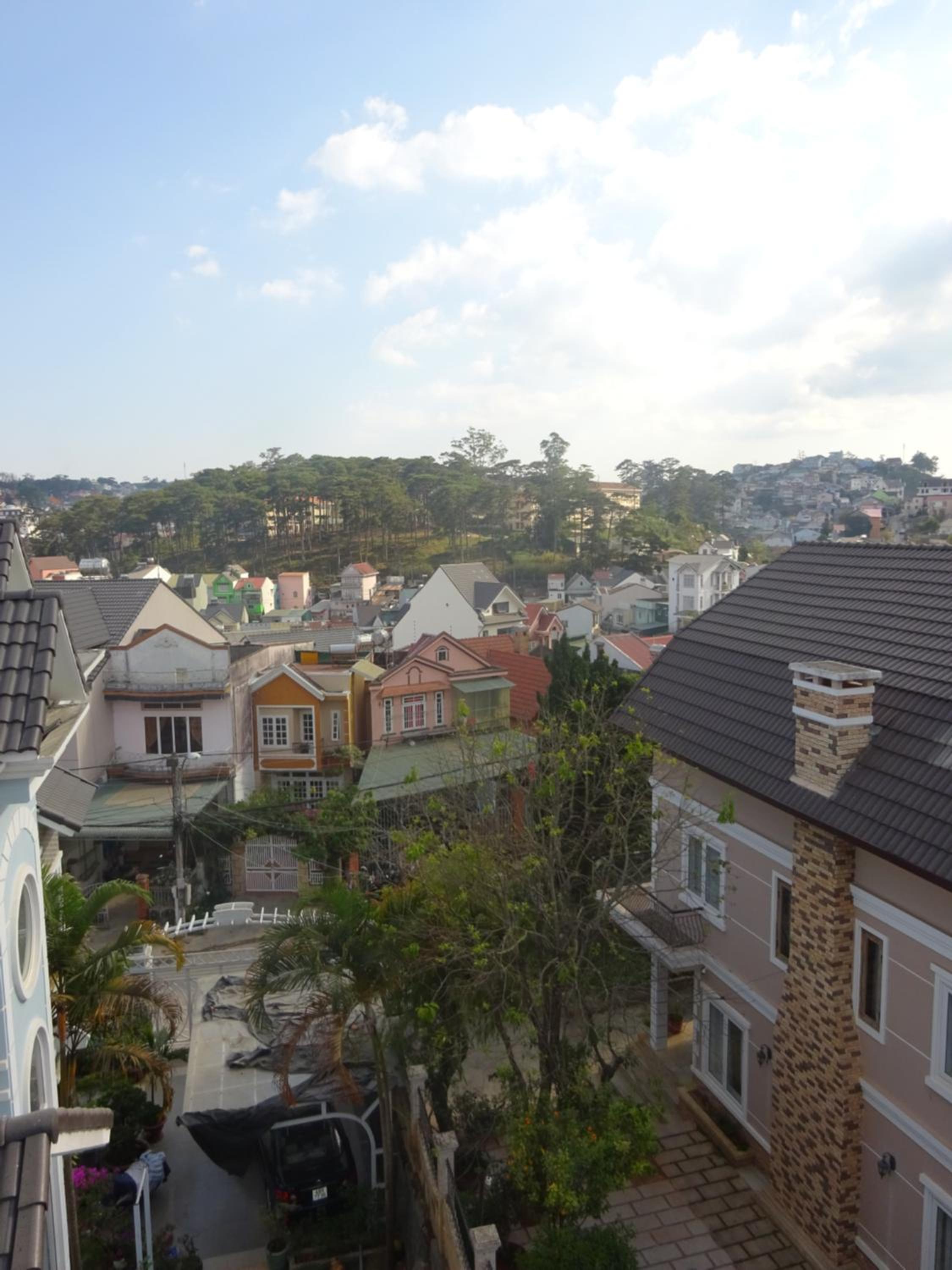 Photo 42