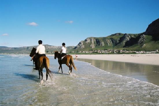 Hermanus Vacations - Dawn's Place - Property Image 6