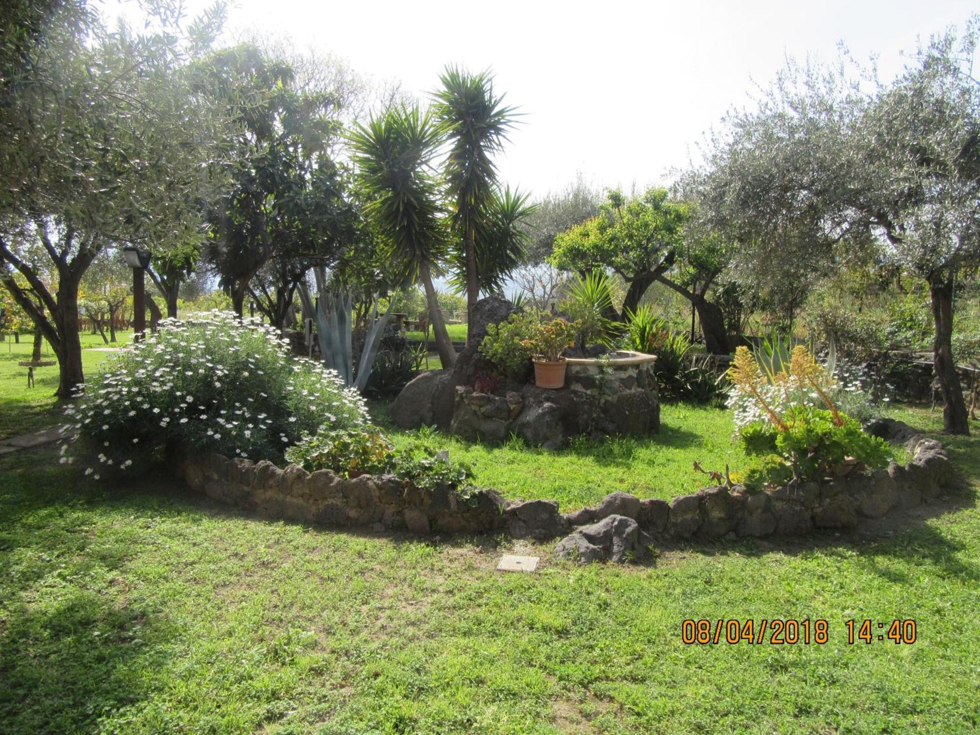 Photo 42