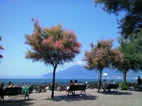 B&B Sul Mare photo 5