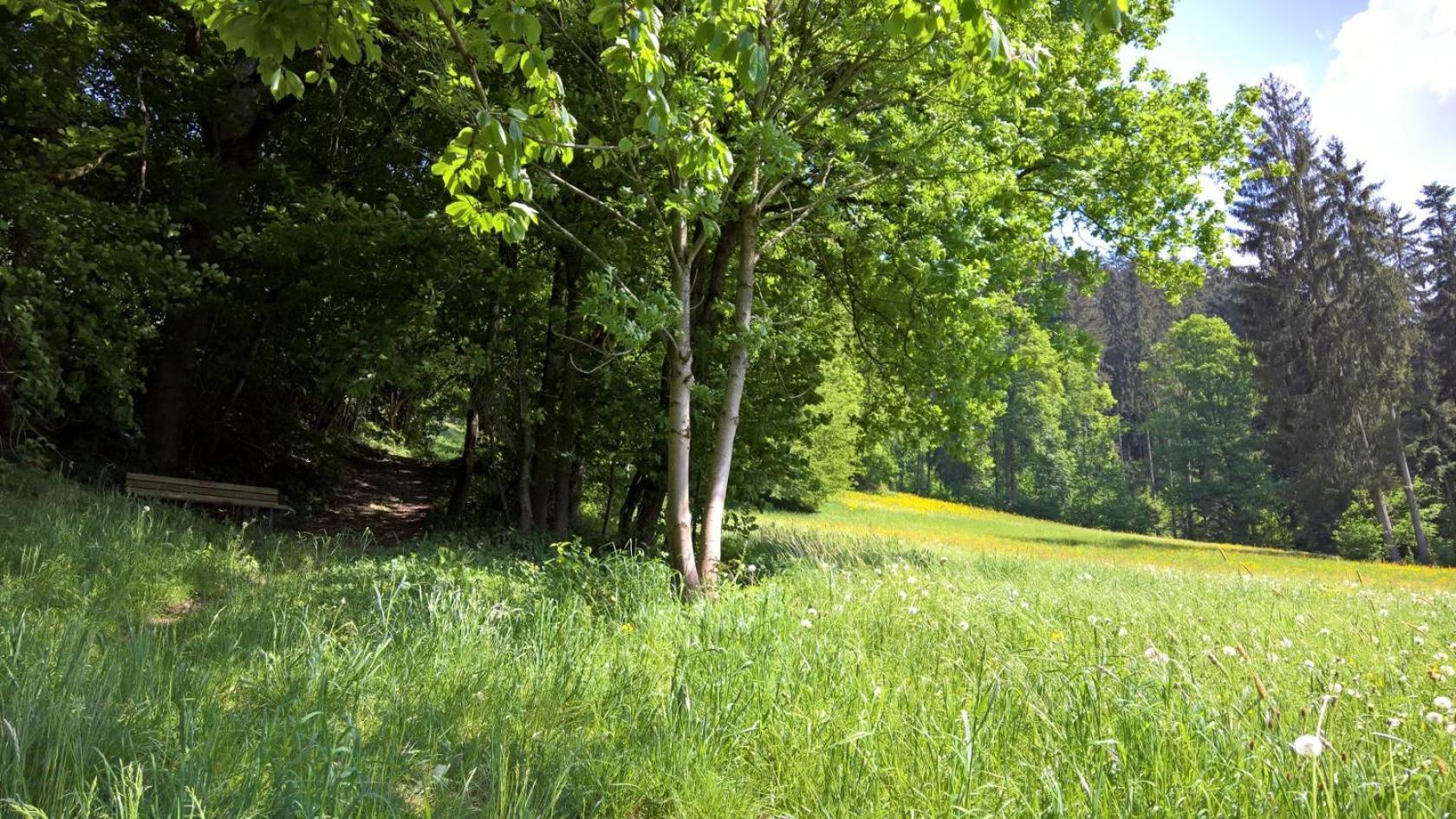 Holiday Home Zillertal - Haus Gigl