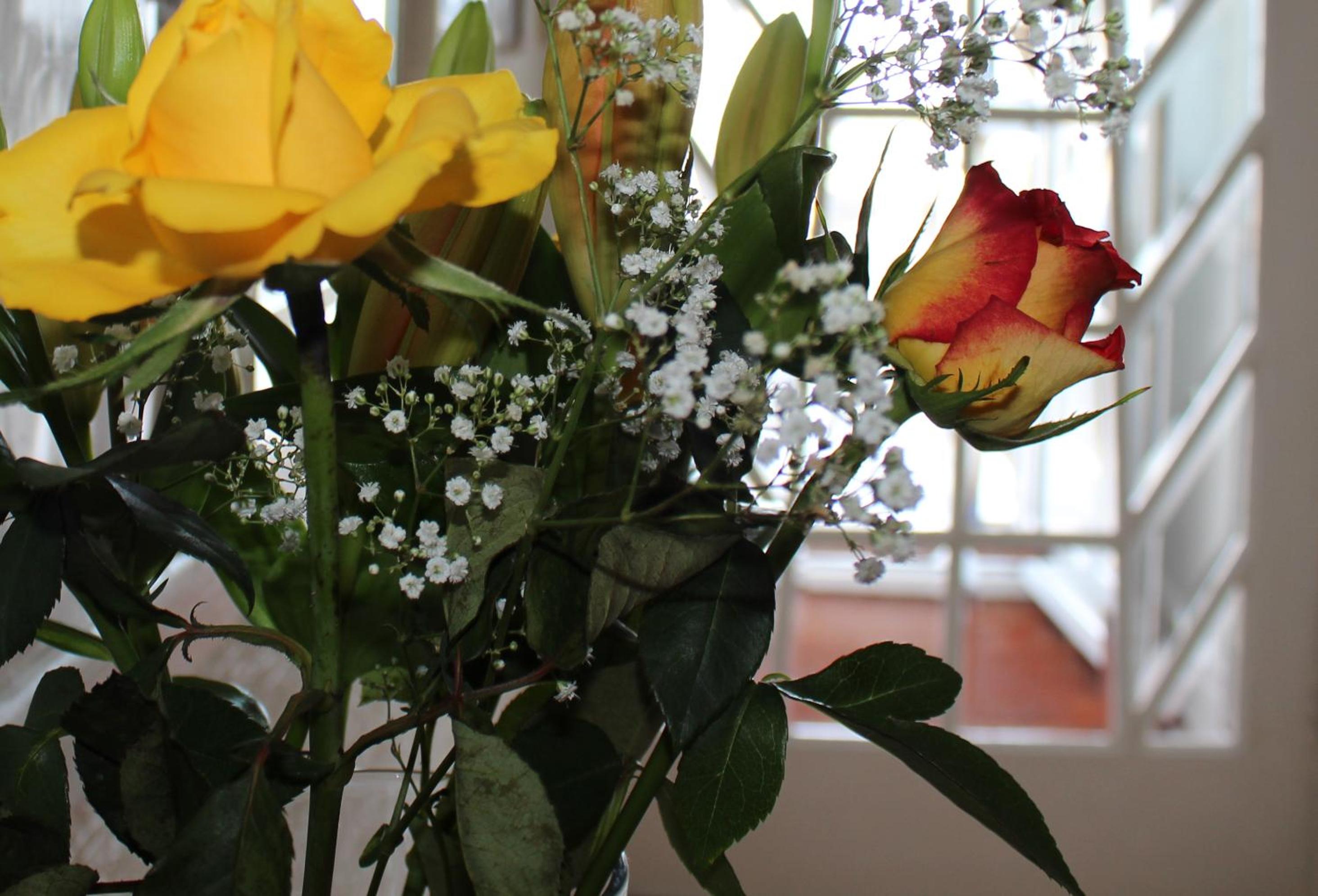 Photo 28