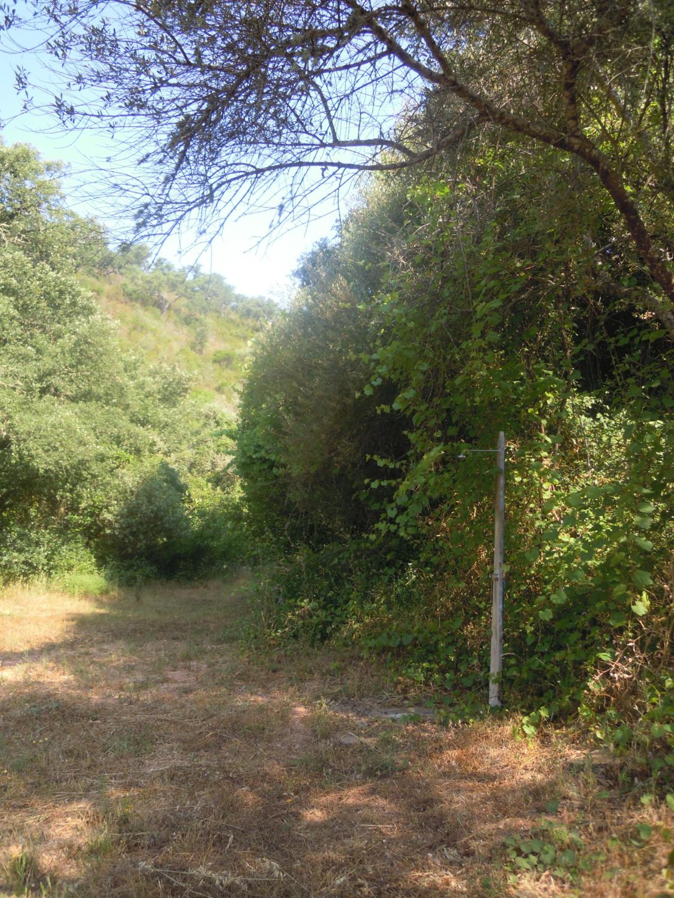 Casas da Cerca
