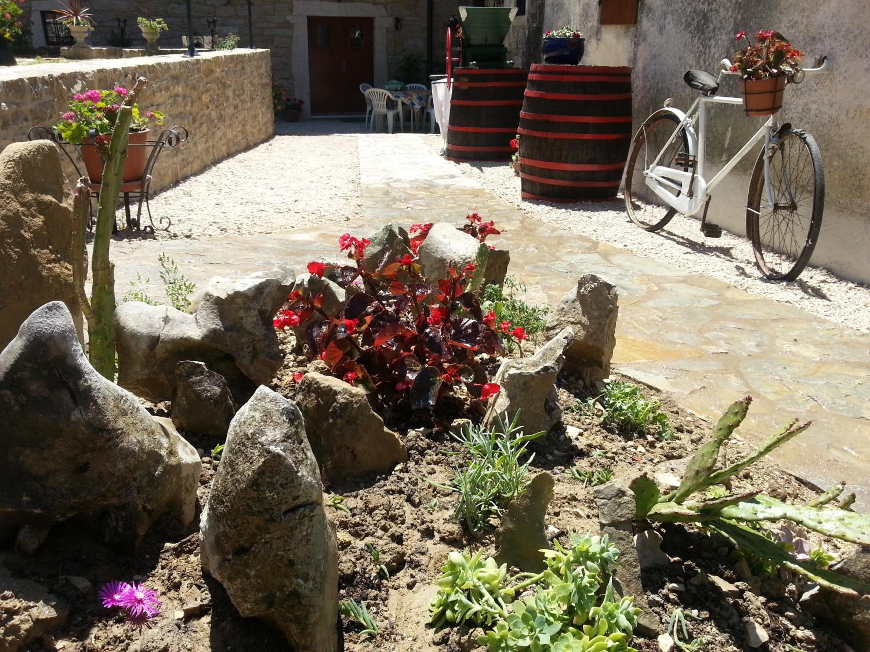 Photo 14